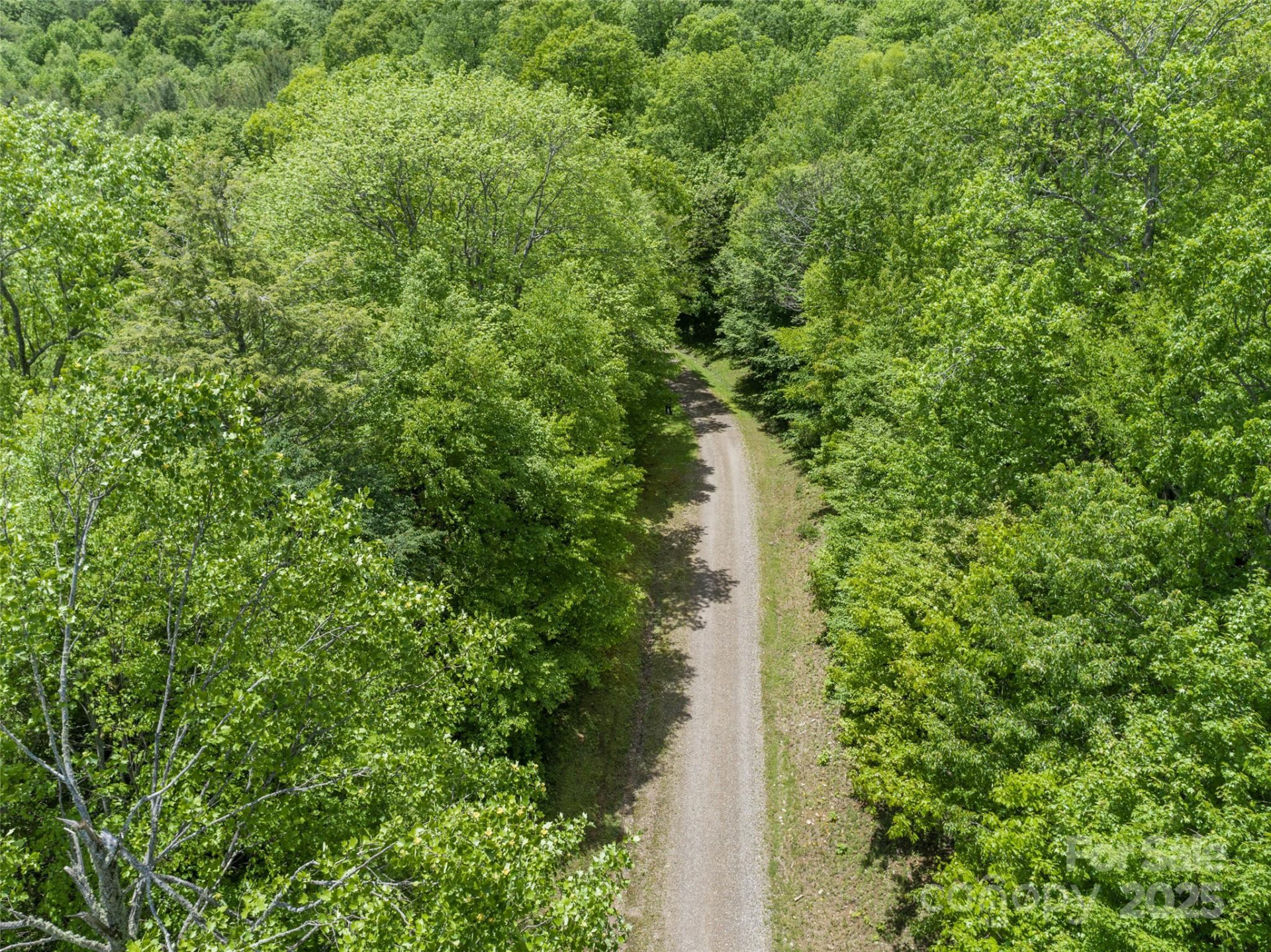 000 Ridge Runner Road #92 - Photo 3