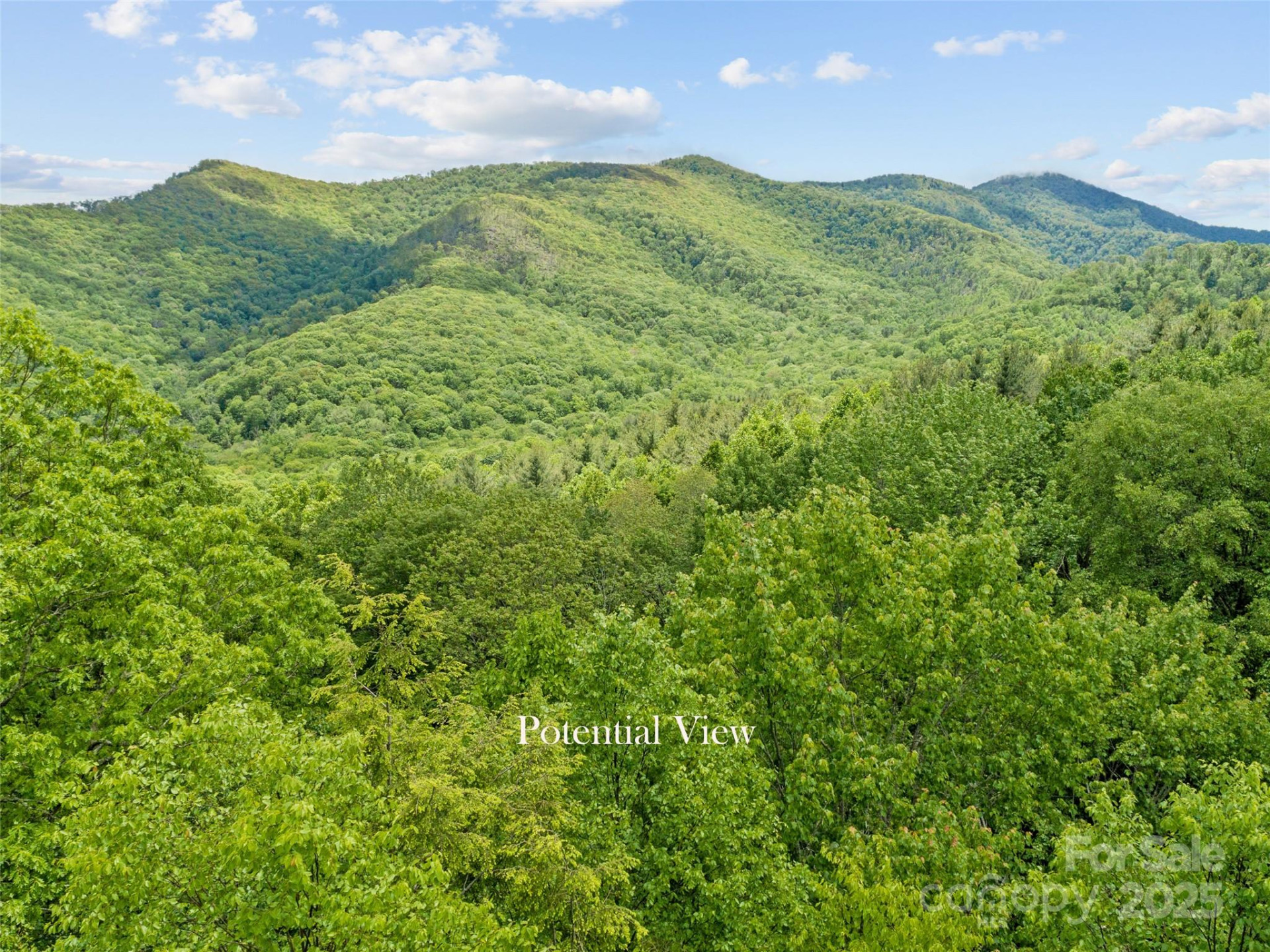 000 Ridge Runner Road #92 - Photo 4