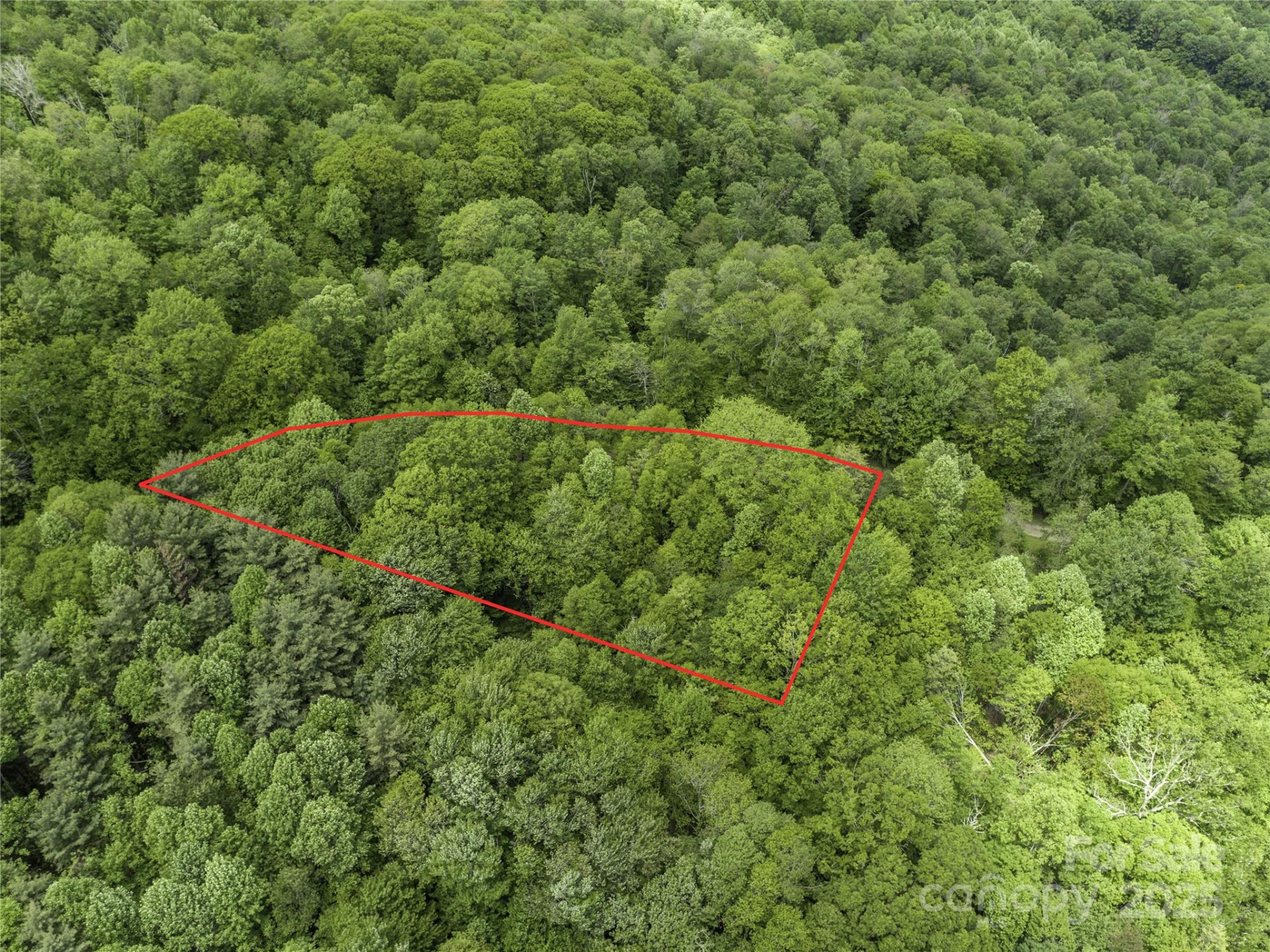 000 Ridge Runner Road #92 - Photo 5