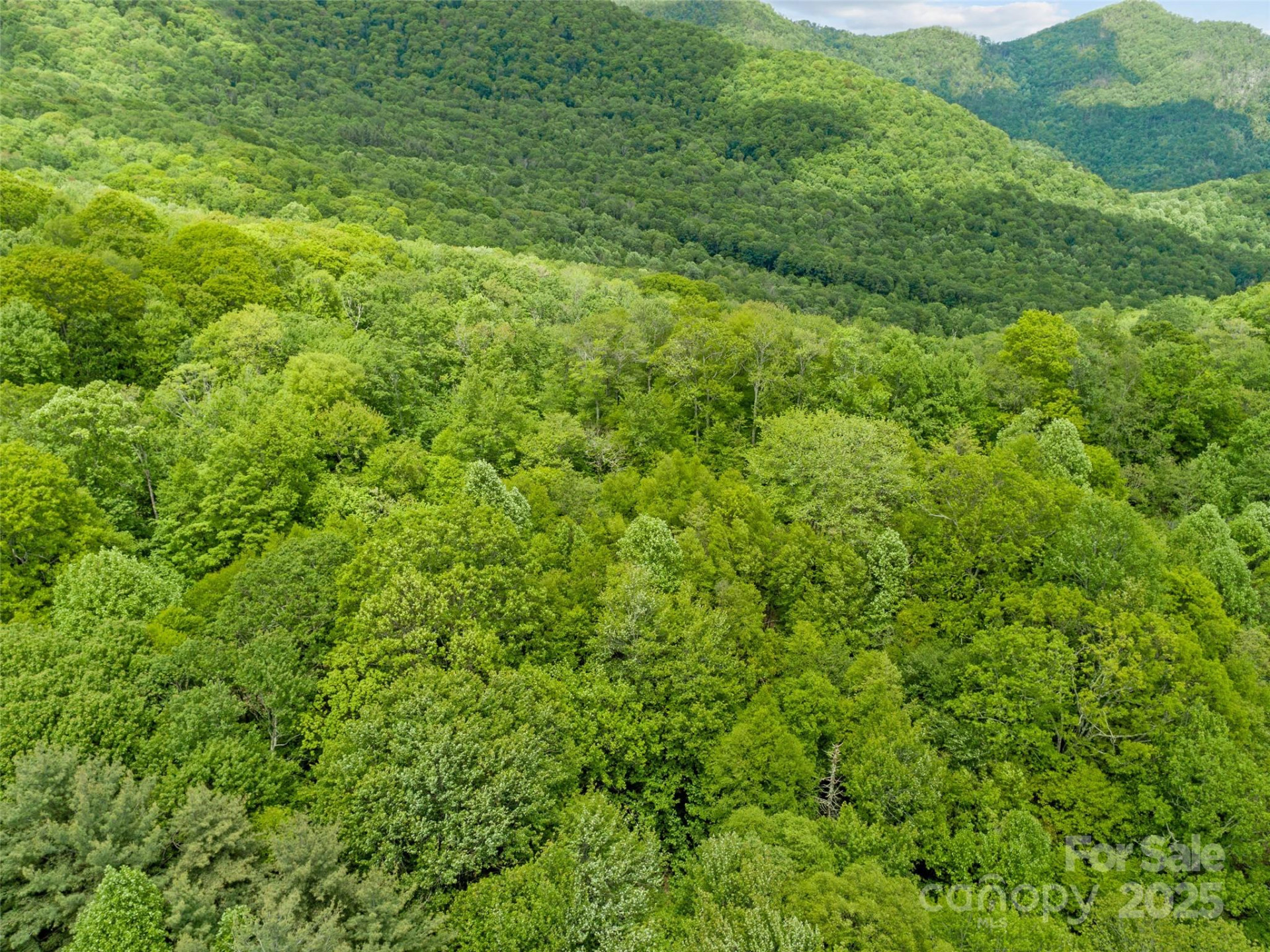 000 Ridge Runner Road #92 - Photo 8