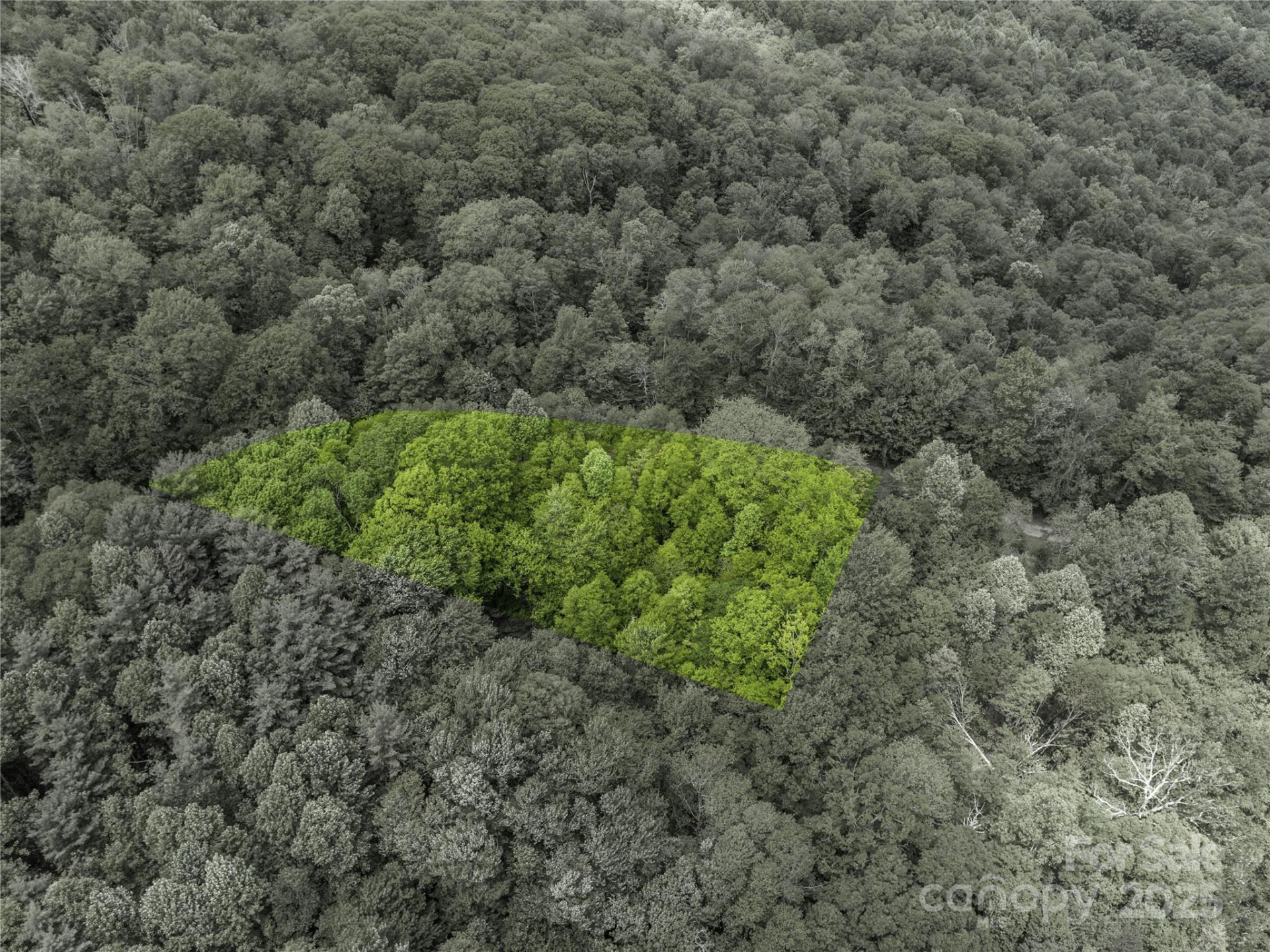 000 Ridge Runner Road #92 - Photo 9