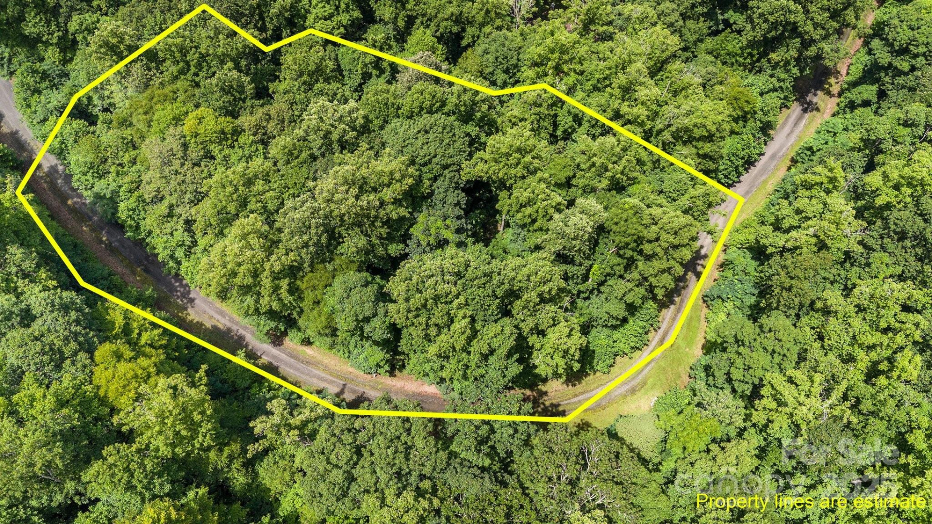 #10 & 44 Poplar Path - Photo 2