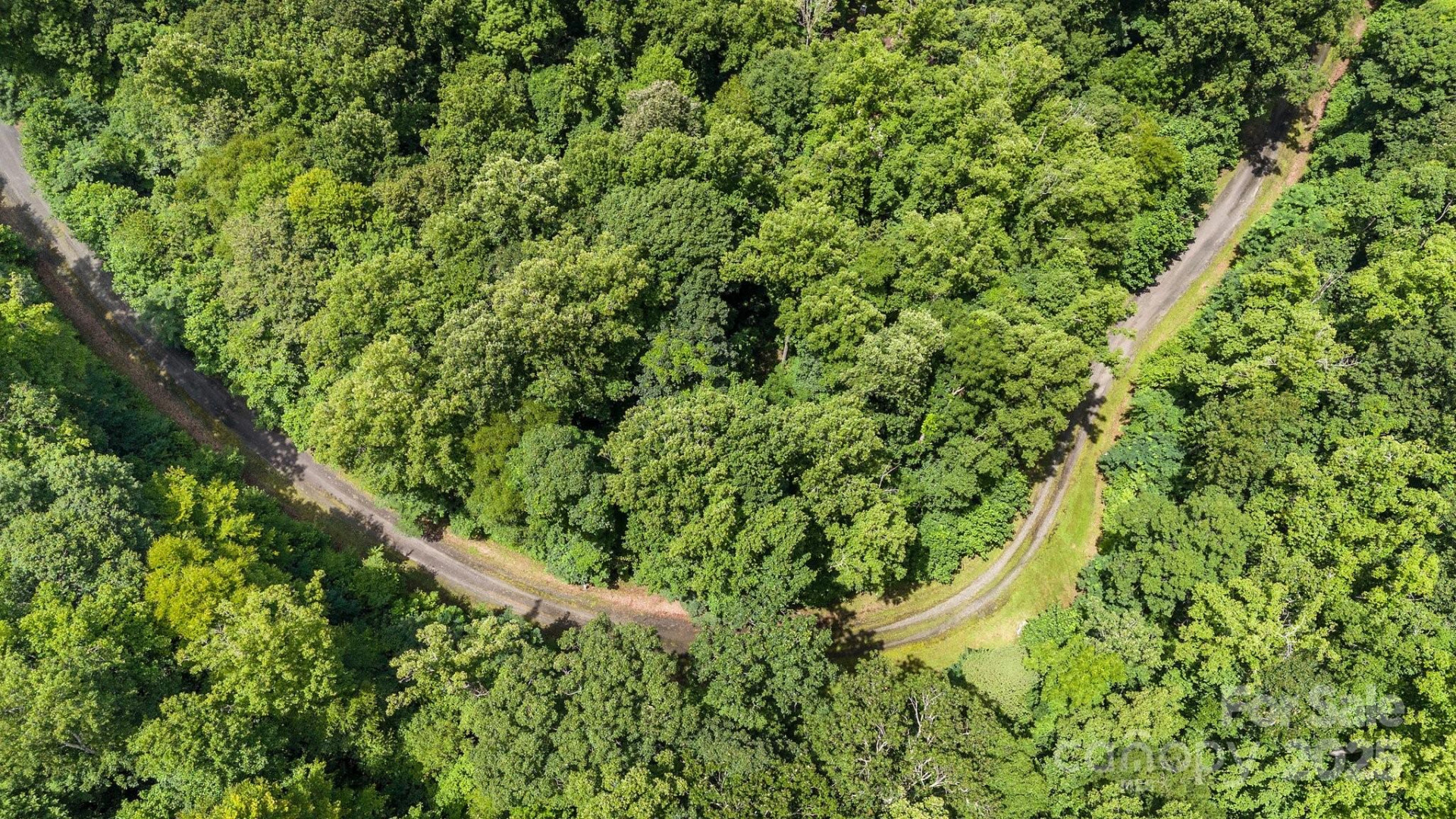 #10 & 44 Poplar Path - Photo 3