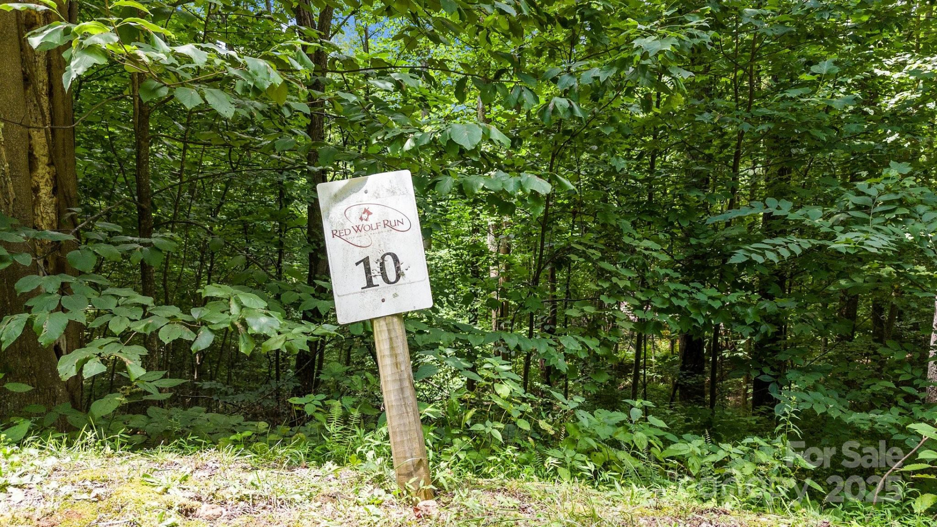 #10 & 44 Poplar Path - Photo 4