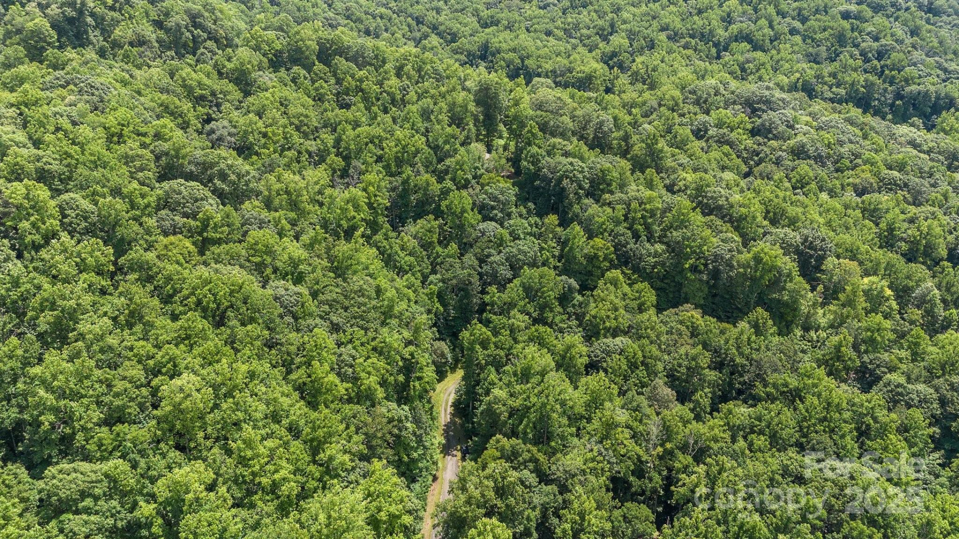 #10 & 44 Poplar Path - Photo 7