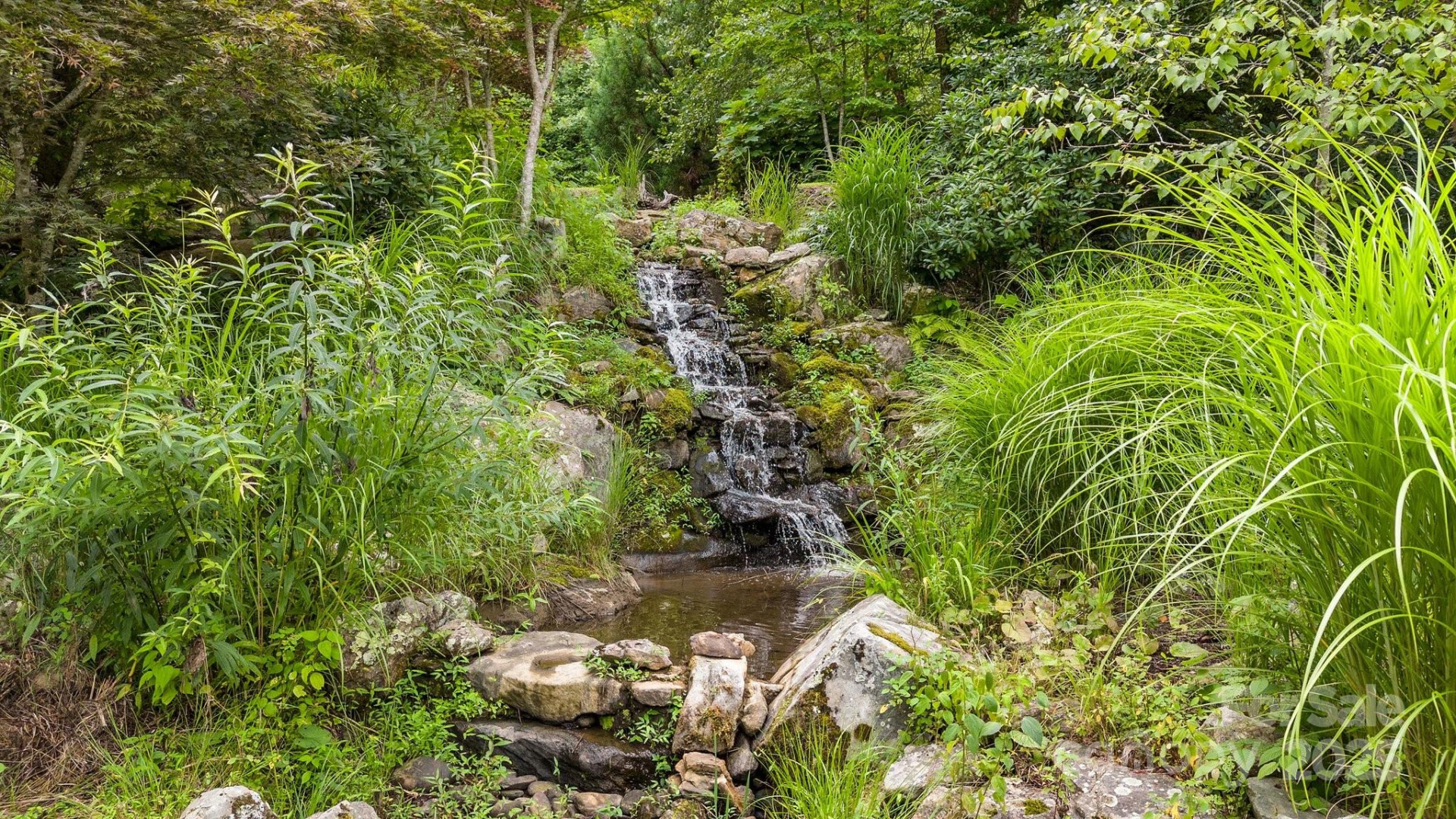 #10 & 44 Poplar Path - Photo 10