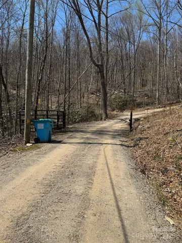99999 Long Branch Road, Swannanoa, NC, 28778