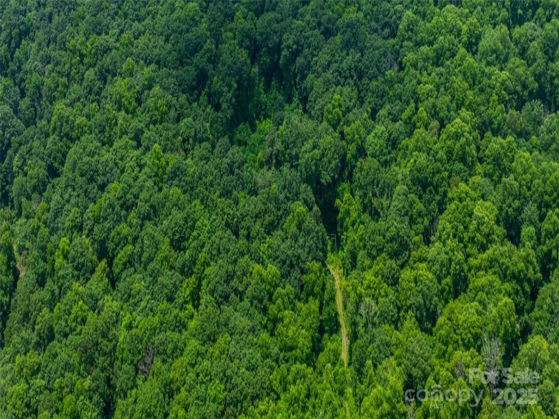 99999 Long Branch Road #1 - Photo 3