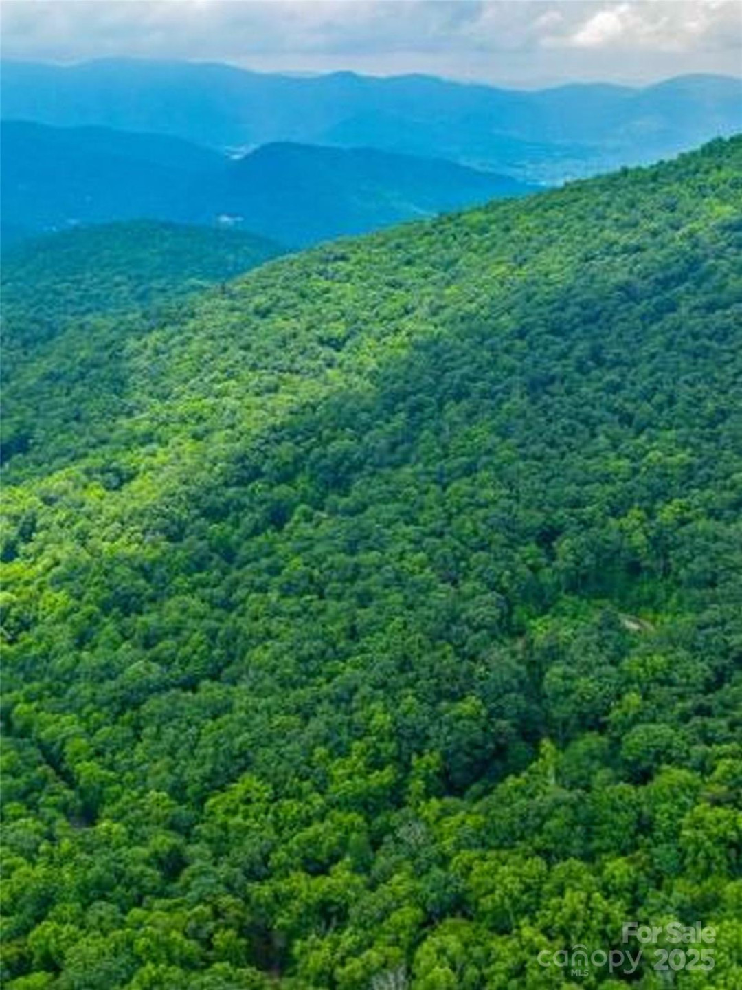 99999 Long Branch Road #1 - Photo 4