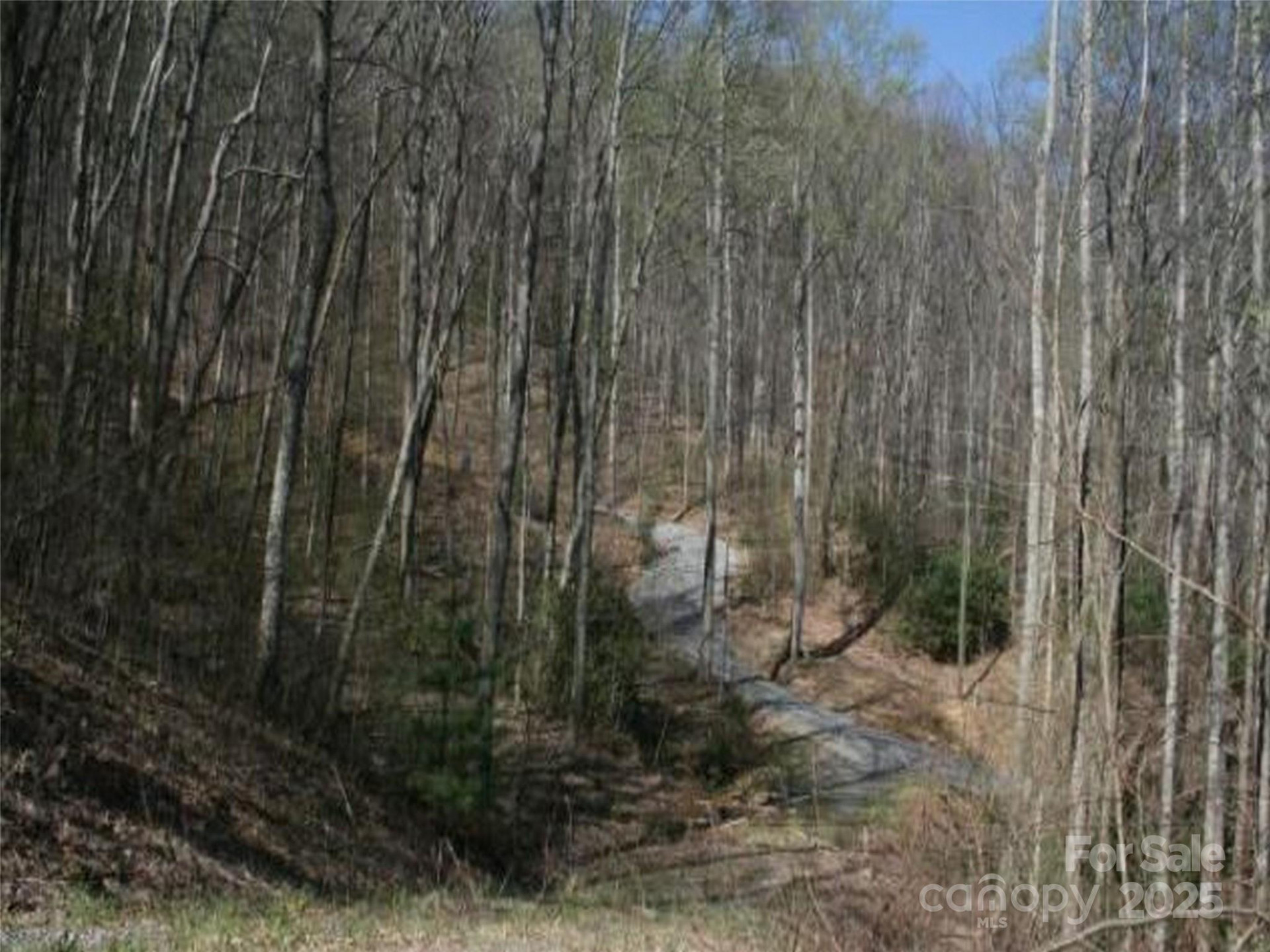 99999 Long Branch Road #1 - Photo 5