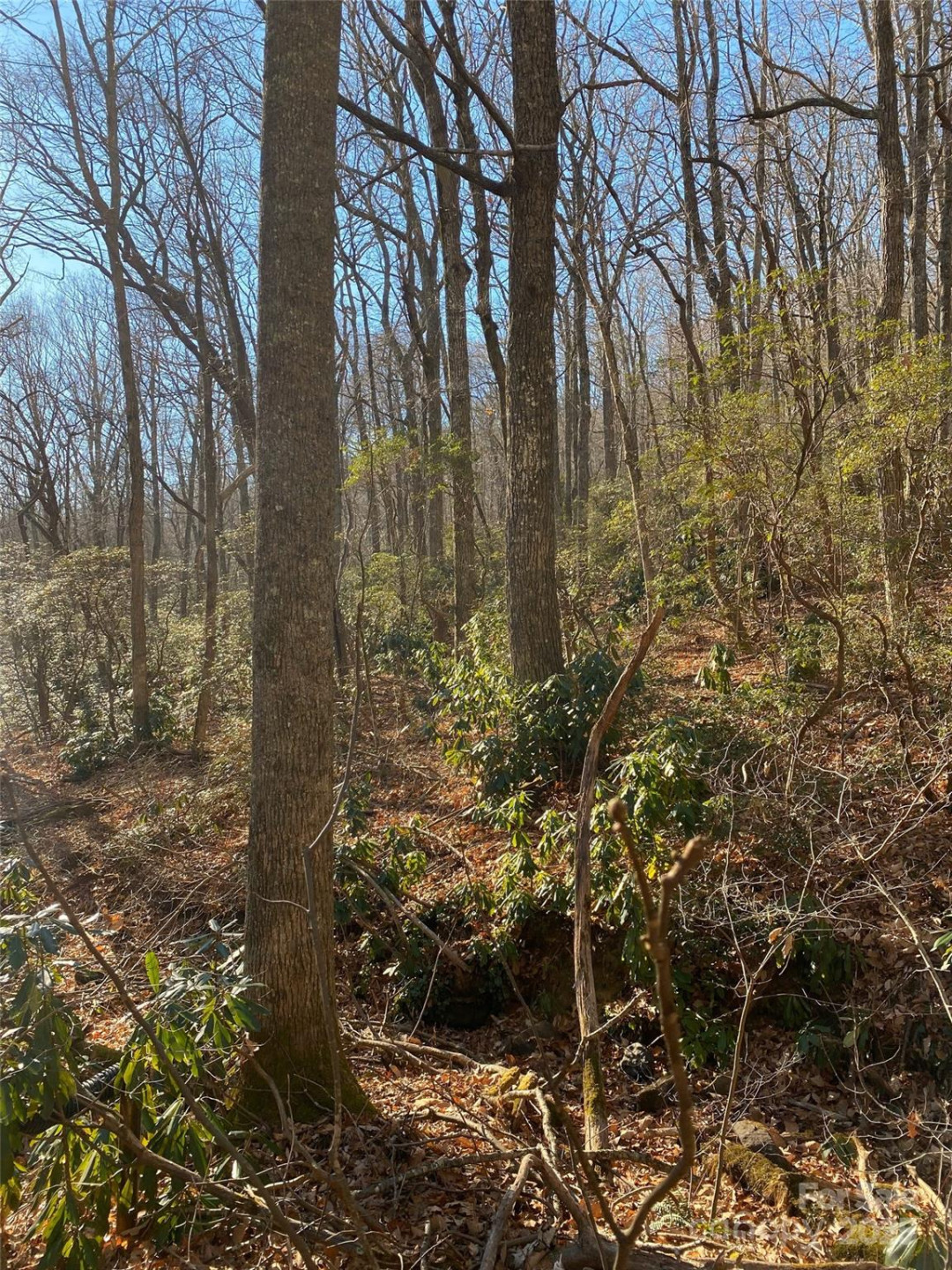 99999 Long Branch Road #1 - Photo 6