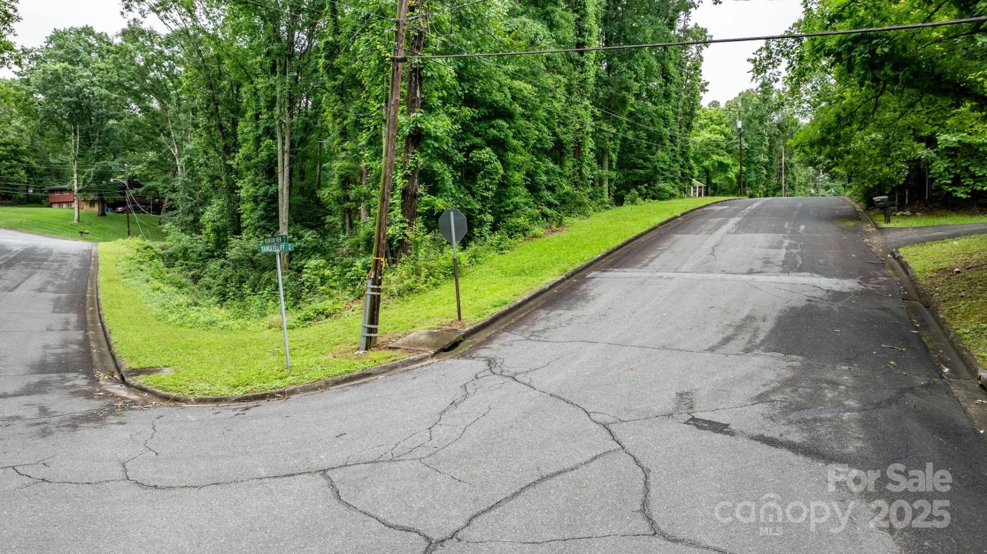 765 Tanglecliff Street - Photo 2