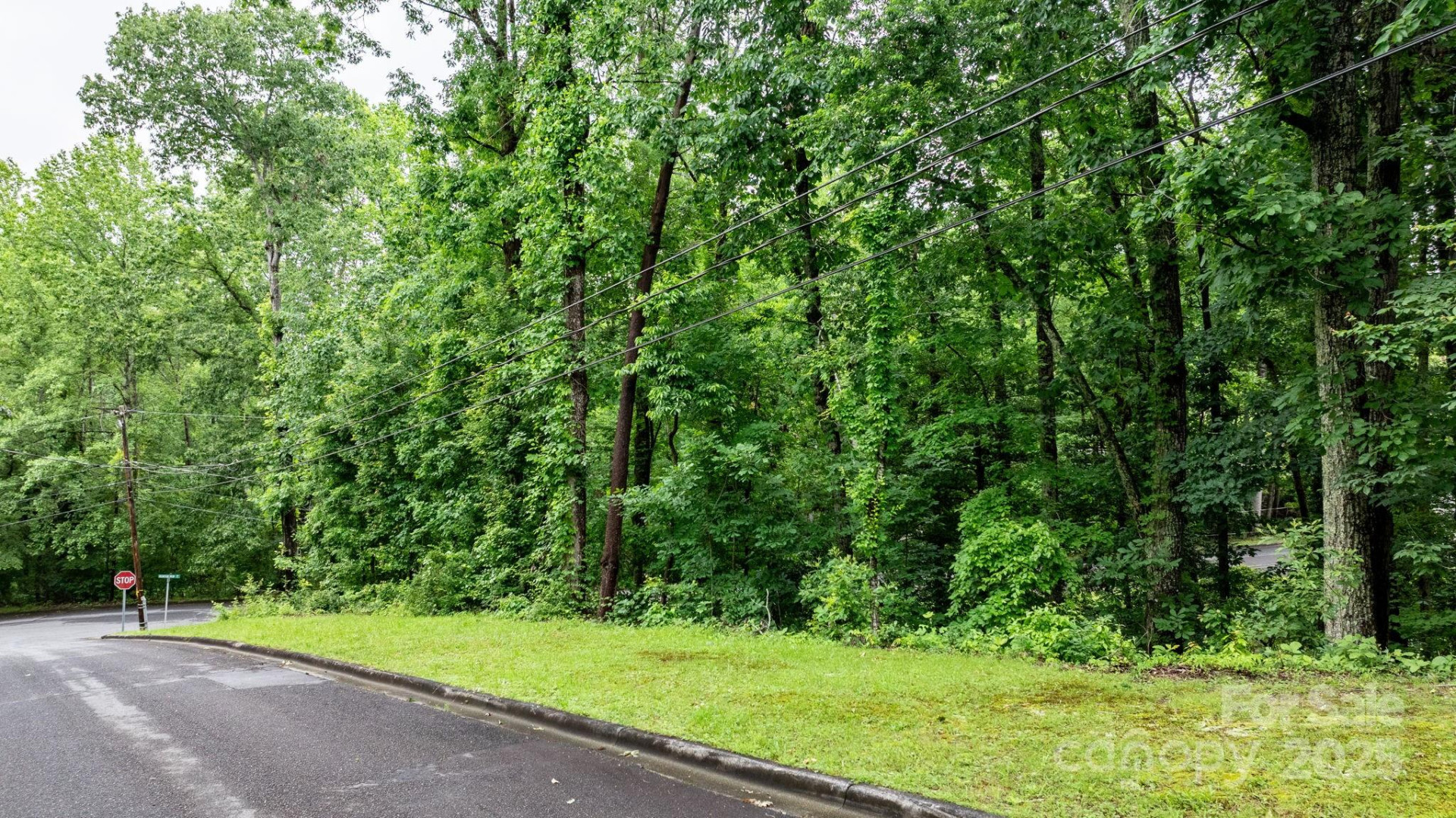 765 Tanglecliff Street - Photo 3