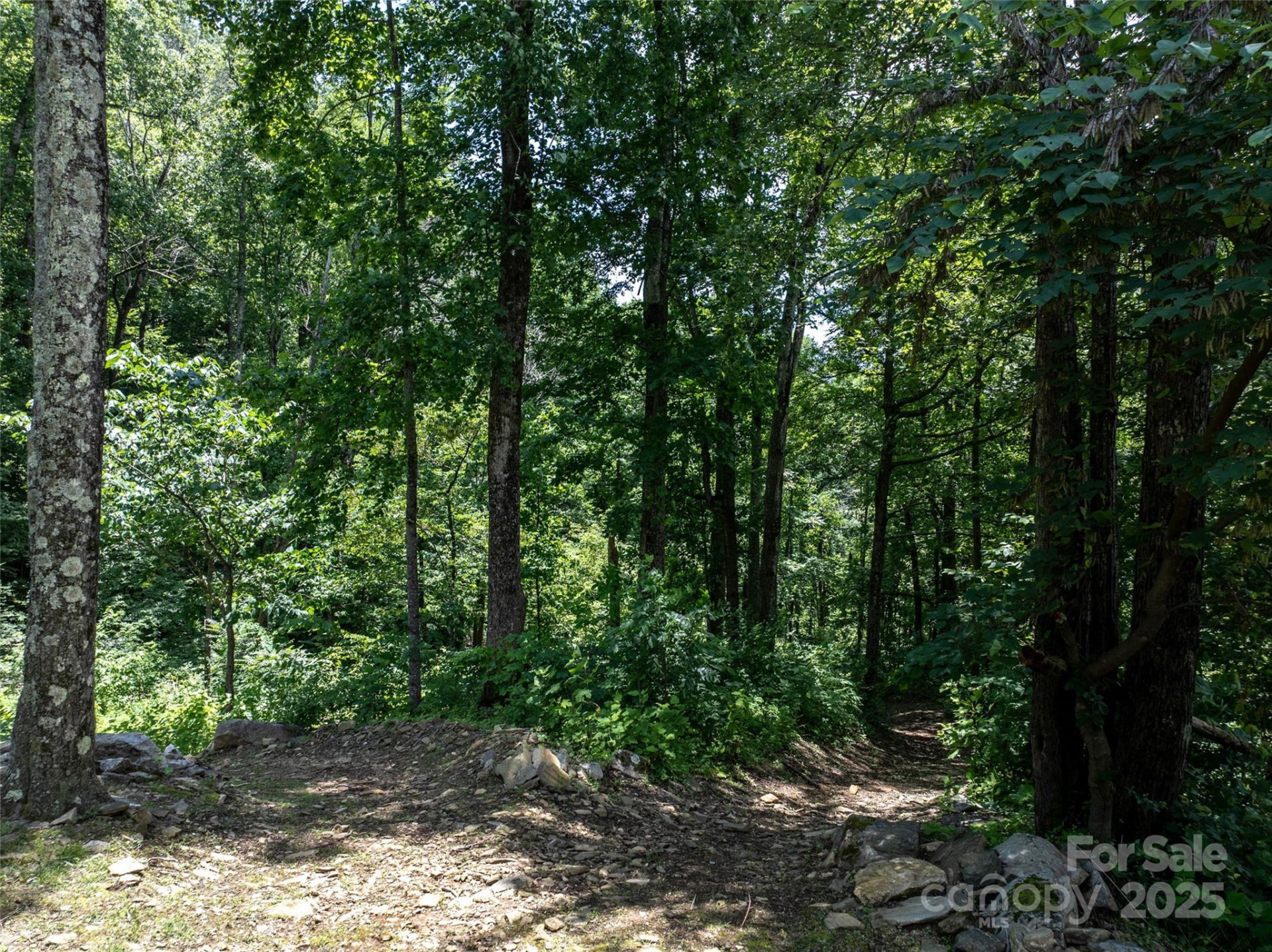 0 Doubleview Drive - Photo 13