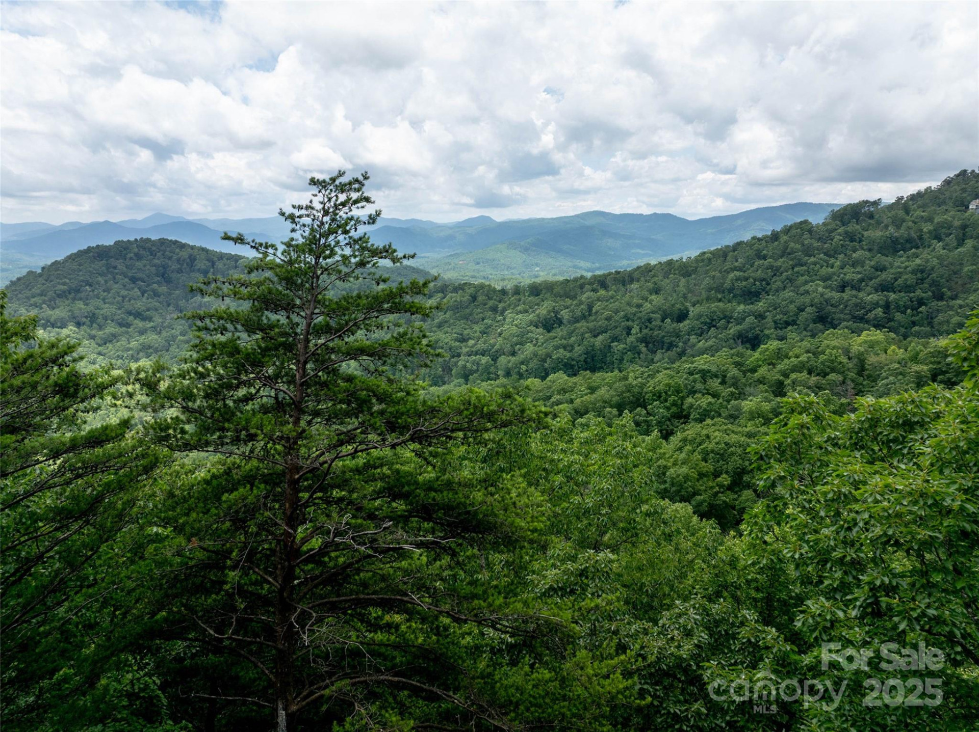 0 Doubleview Drive - Photo 5