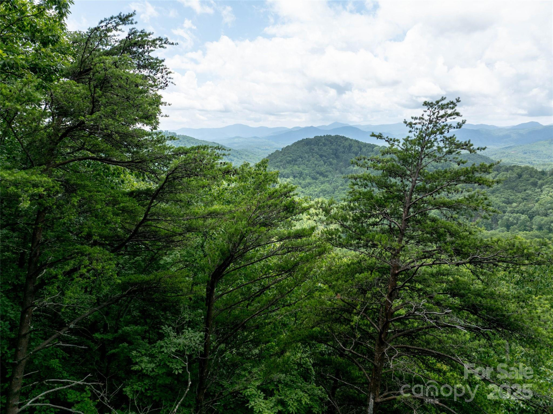 0 Doubleview Drive - Photo 6