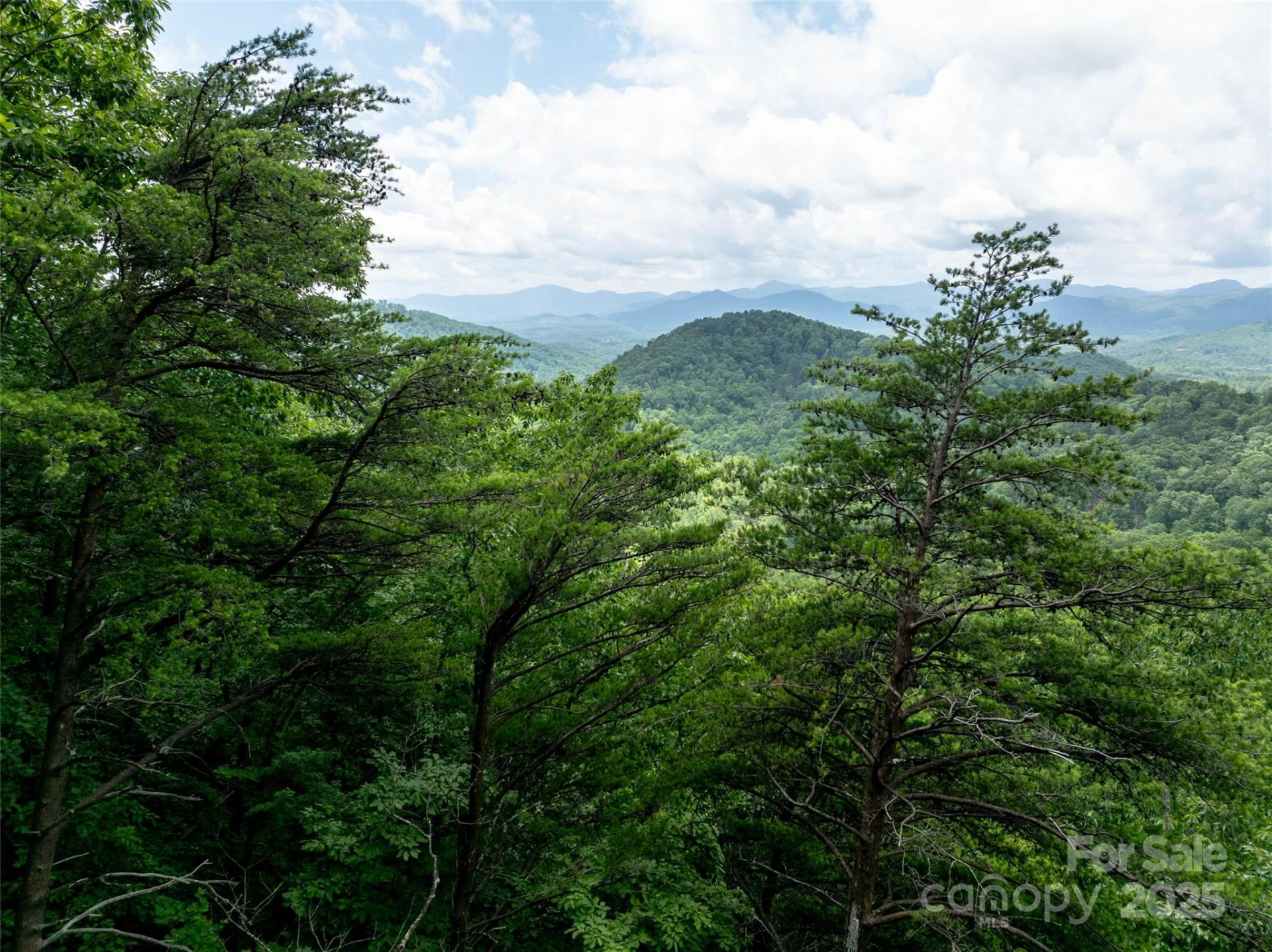 0 Doubleview Drive - Photo 6