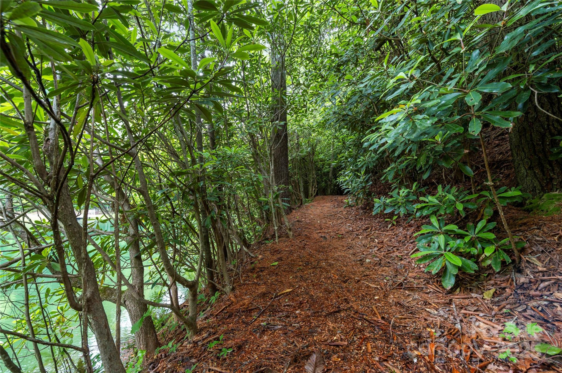 68 Huckleberry Ridge Lane - Photo 32