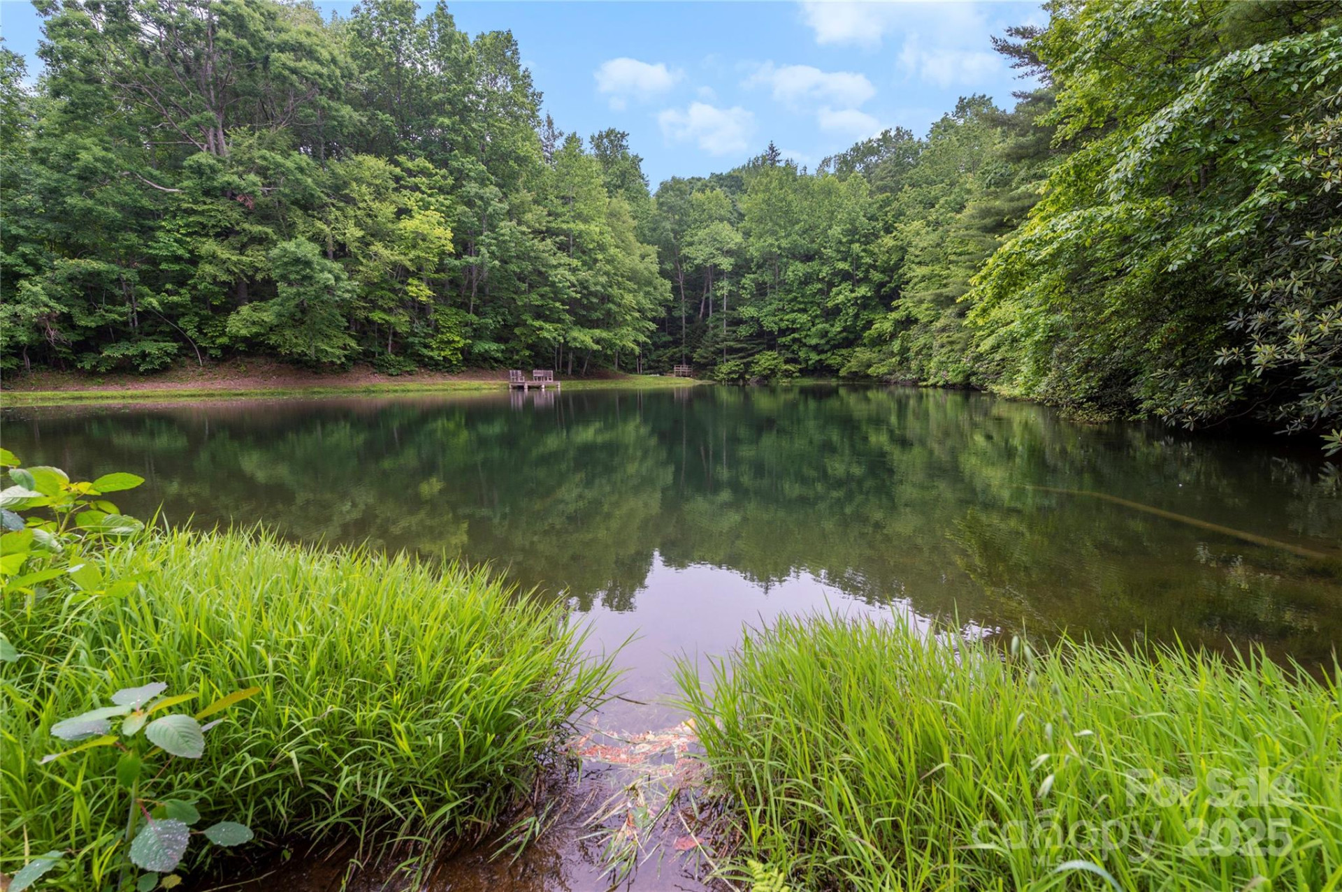 68 Huckleberry Ridge Lane - Photo 36