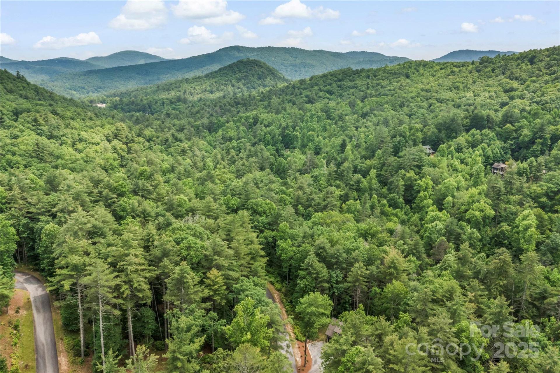 68 Huckleberry Ridge Lane - Photo 43