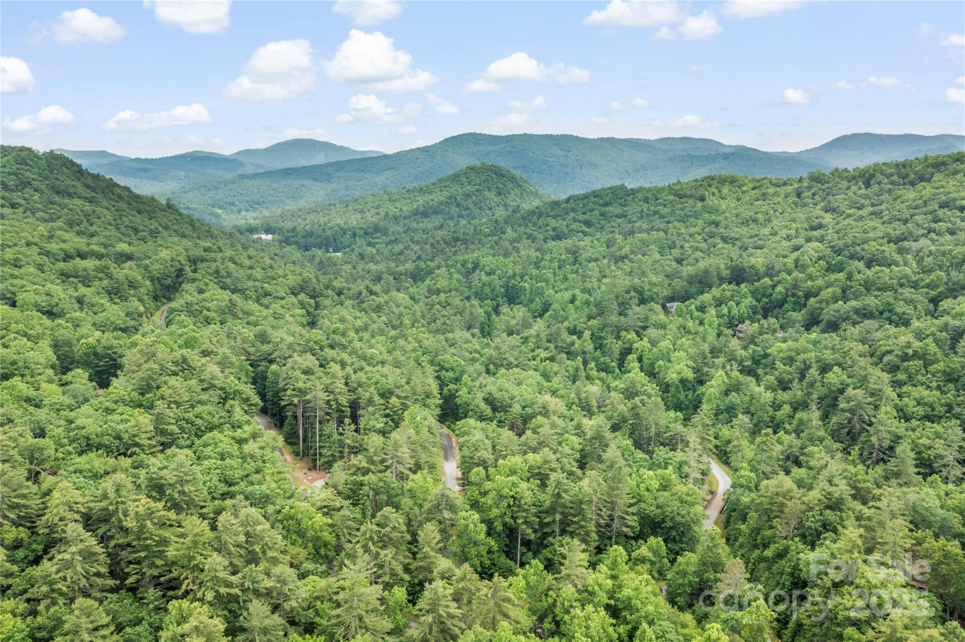 68 Huckleberry Ridge Lane - Photo 44