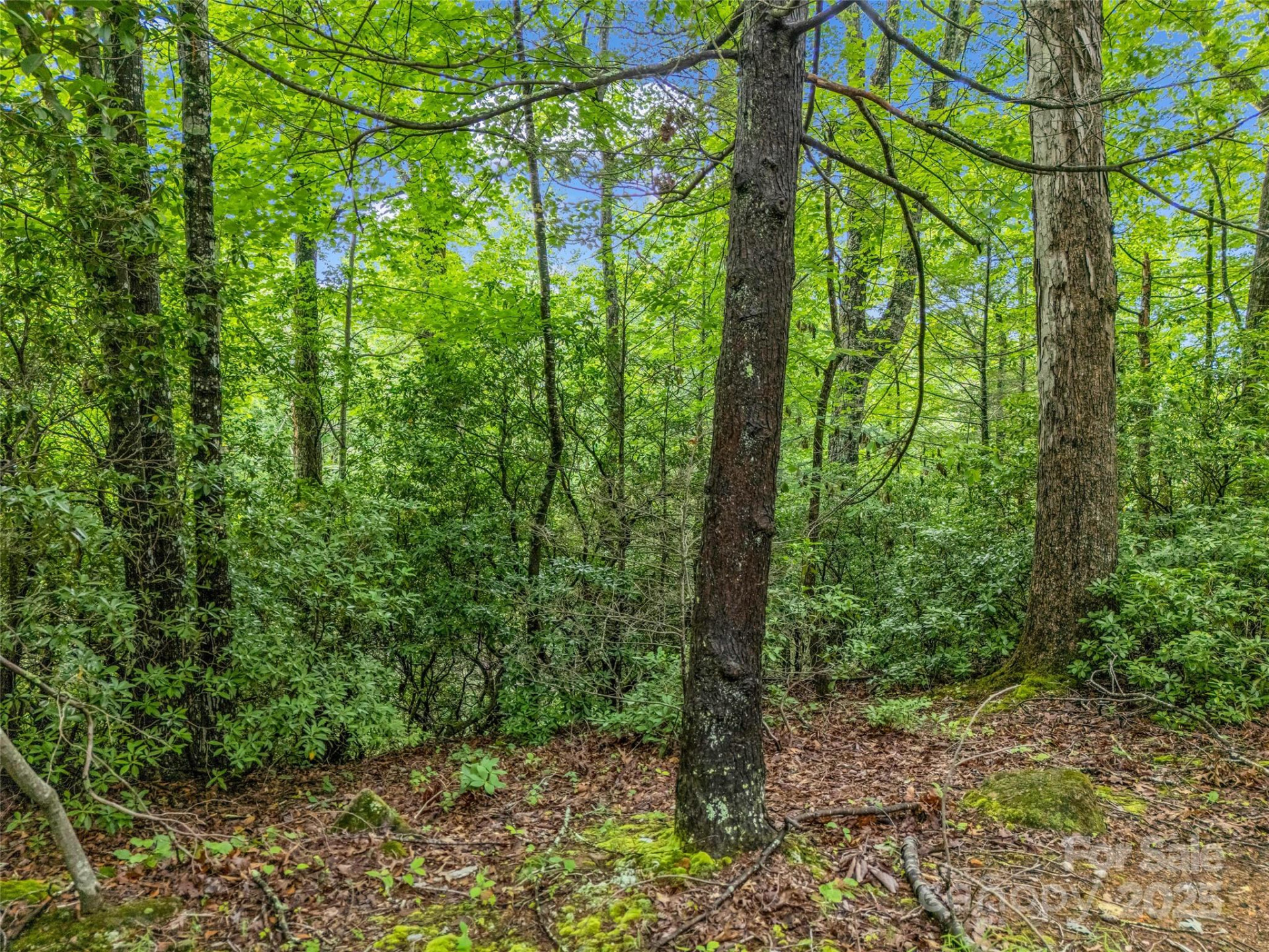 0 Quail Ridge Road #214 - Photo 22