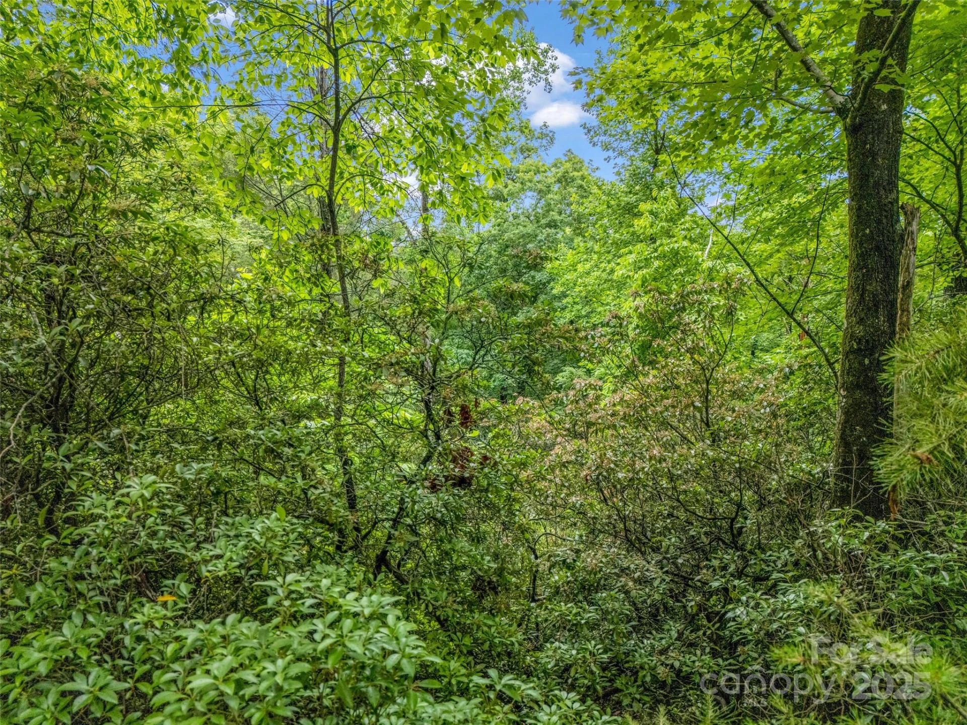 0 Quail Ridge Road #214 - Photo 23