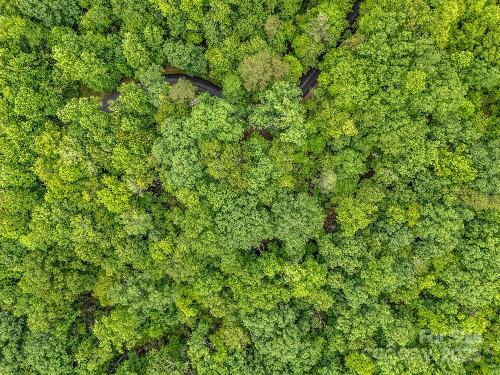 0 Quail Ridge Road #214 - Photo 6