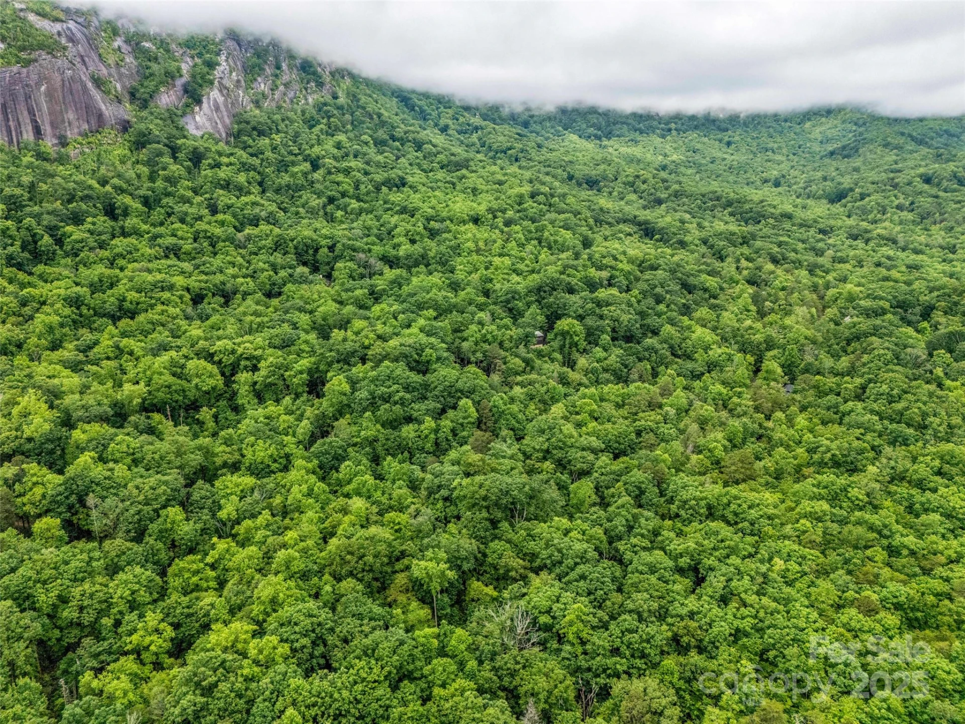 0 Quail Ridge Road #214 - Photo 8