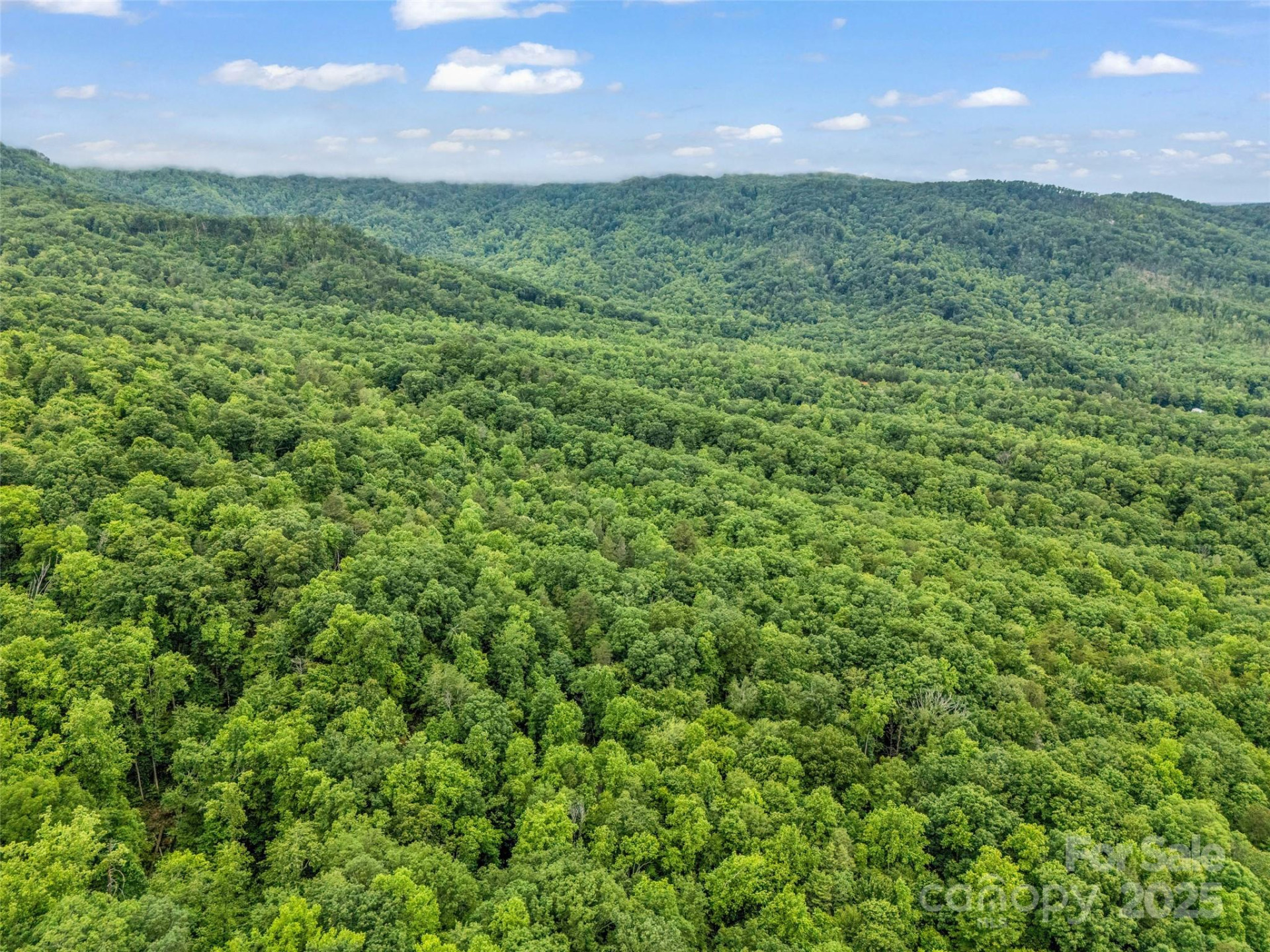 0 Quail Ridge Road #214 - Photo 10