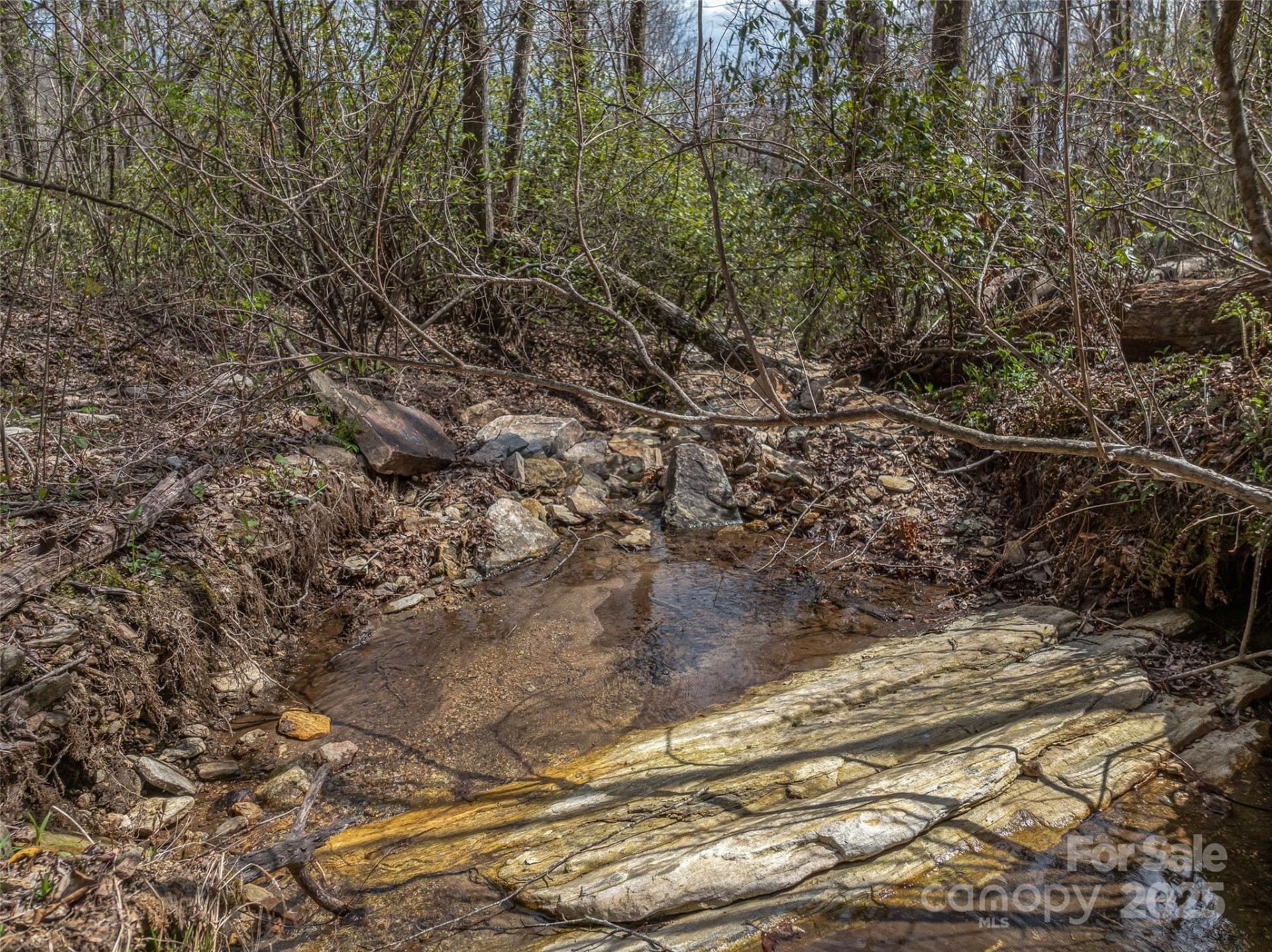 83 Waterstone Drive #46 - Photo 19