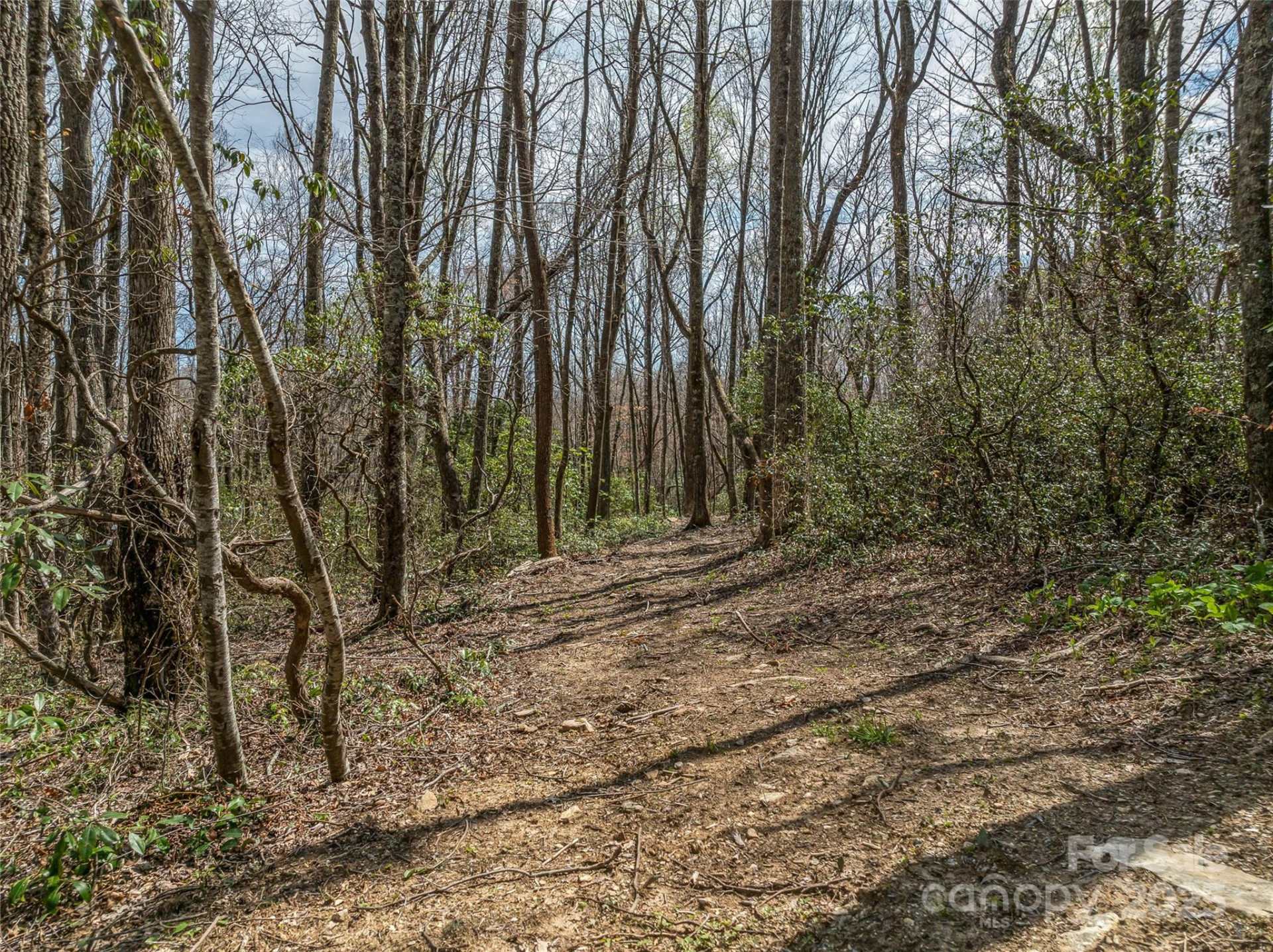 83 Waterstone Drive #46 - Photo 6