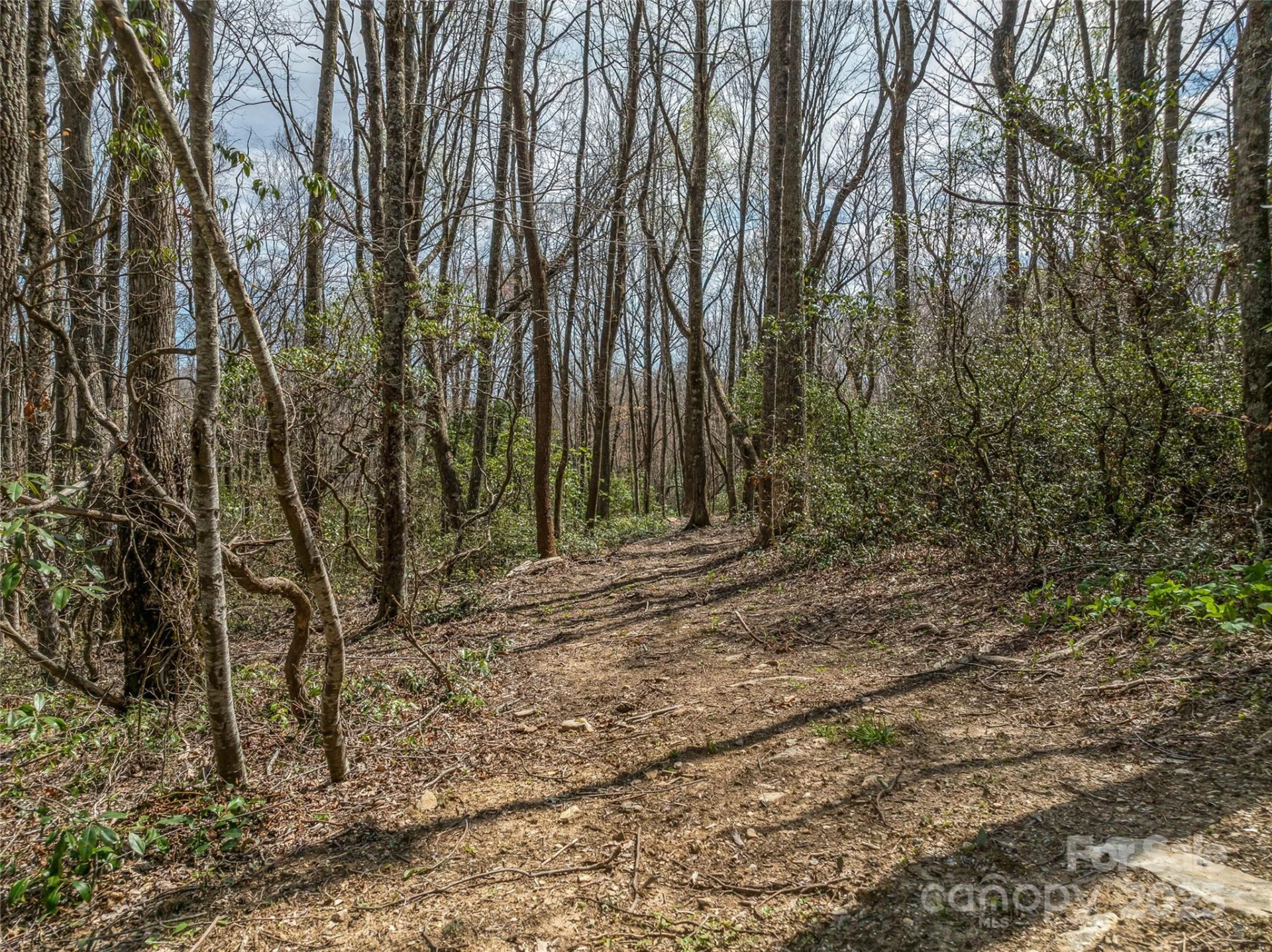 83 Waterstone Drive #46 - Photo 6