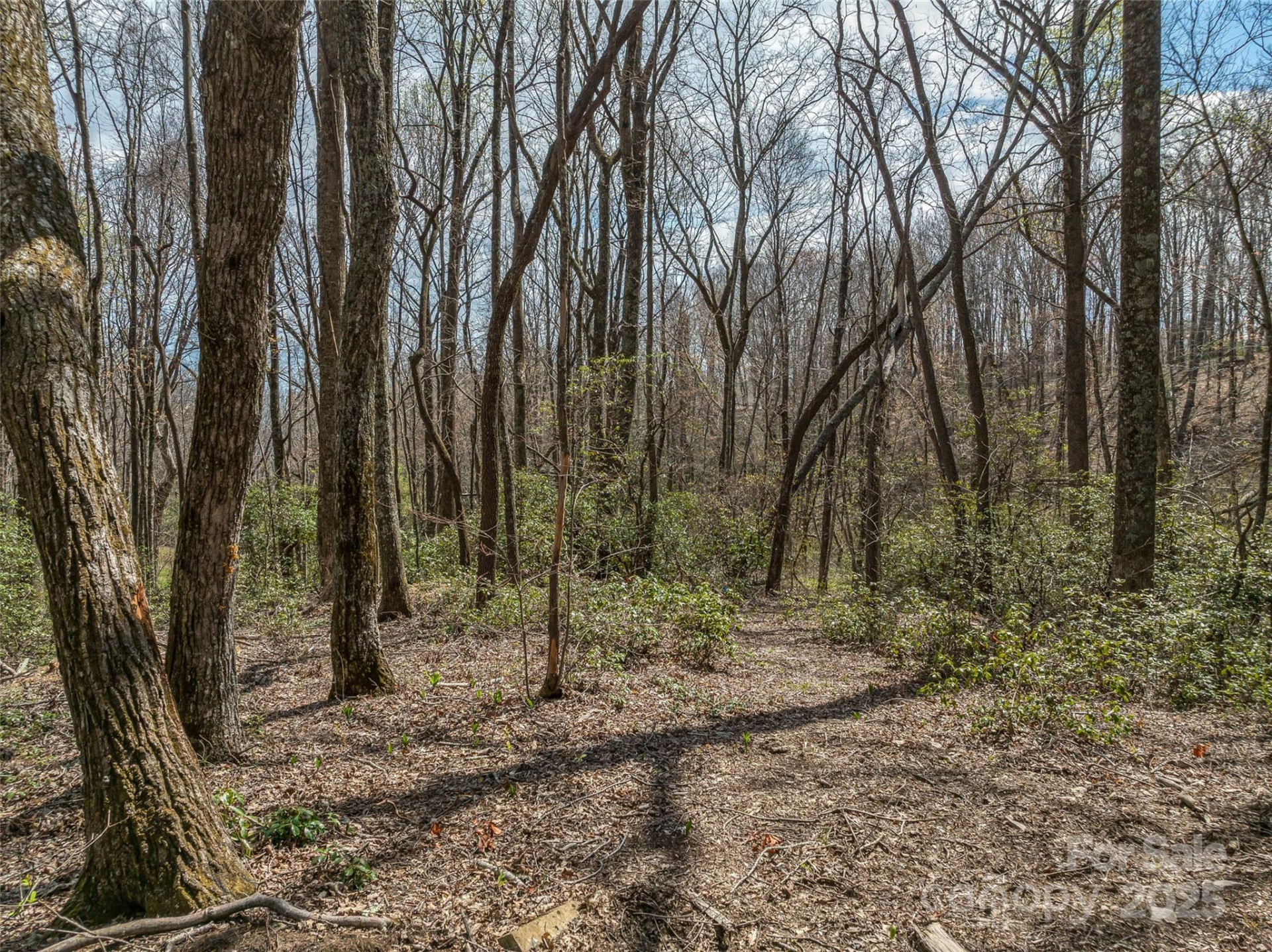 83 Waterstone Drive #46 - Photo 8