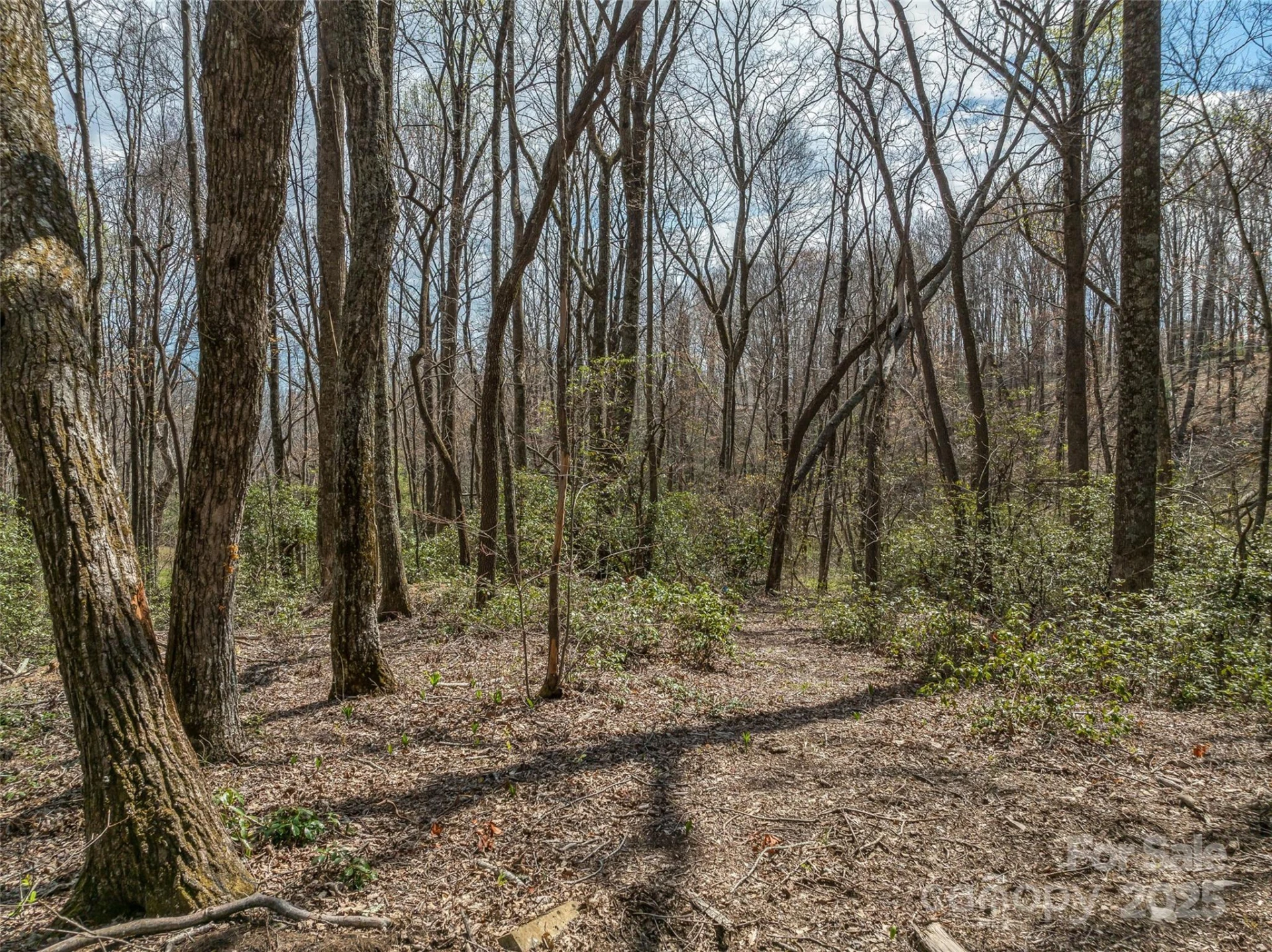 83 Waterstone Drive #46 - Photo 8