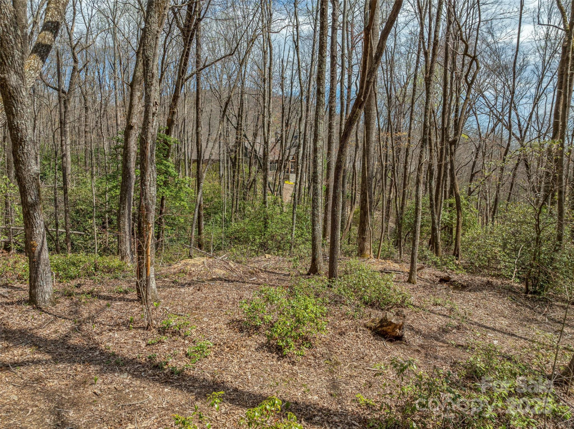 83 Waterstone Drive #46 - Photo 10