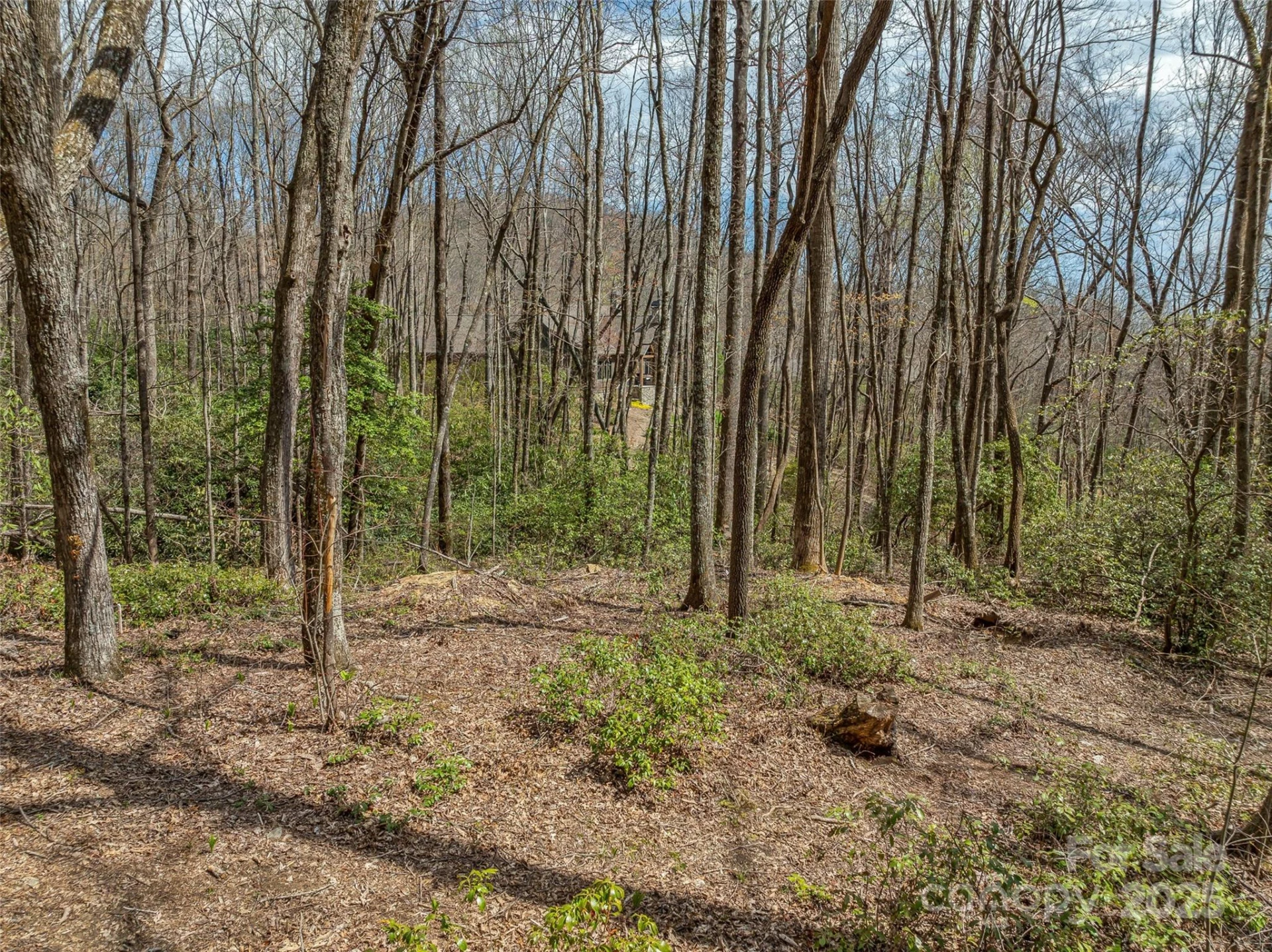 83 Waterstone Drive #46 - Photo 10