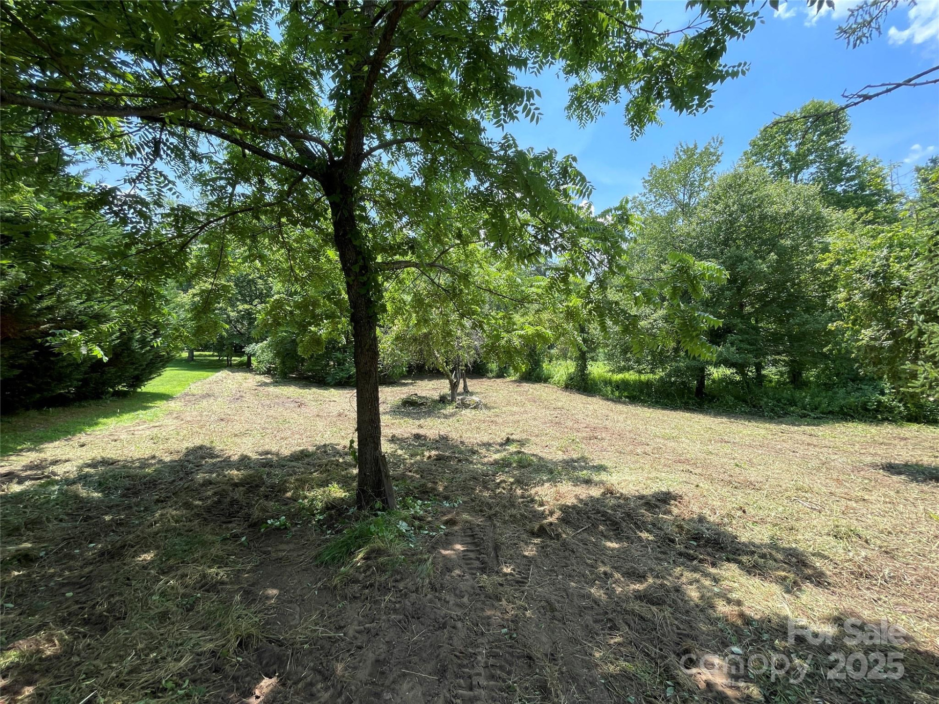 150 Founders Drive #159 - Photo 11