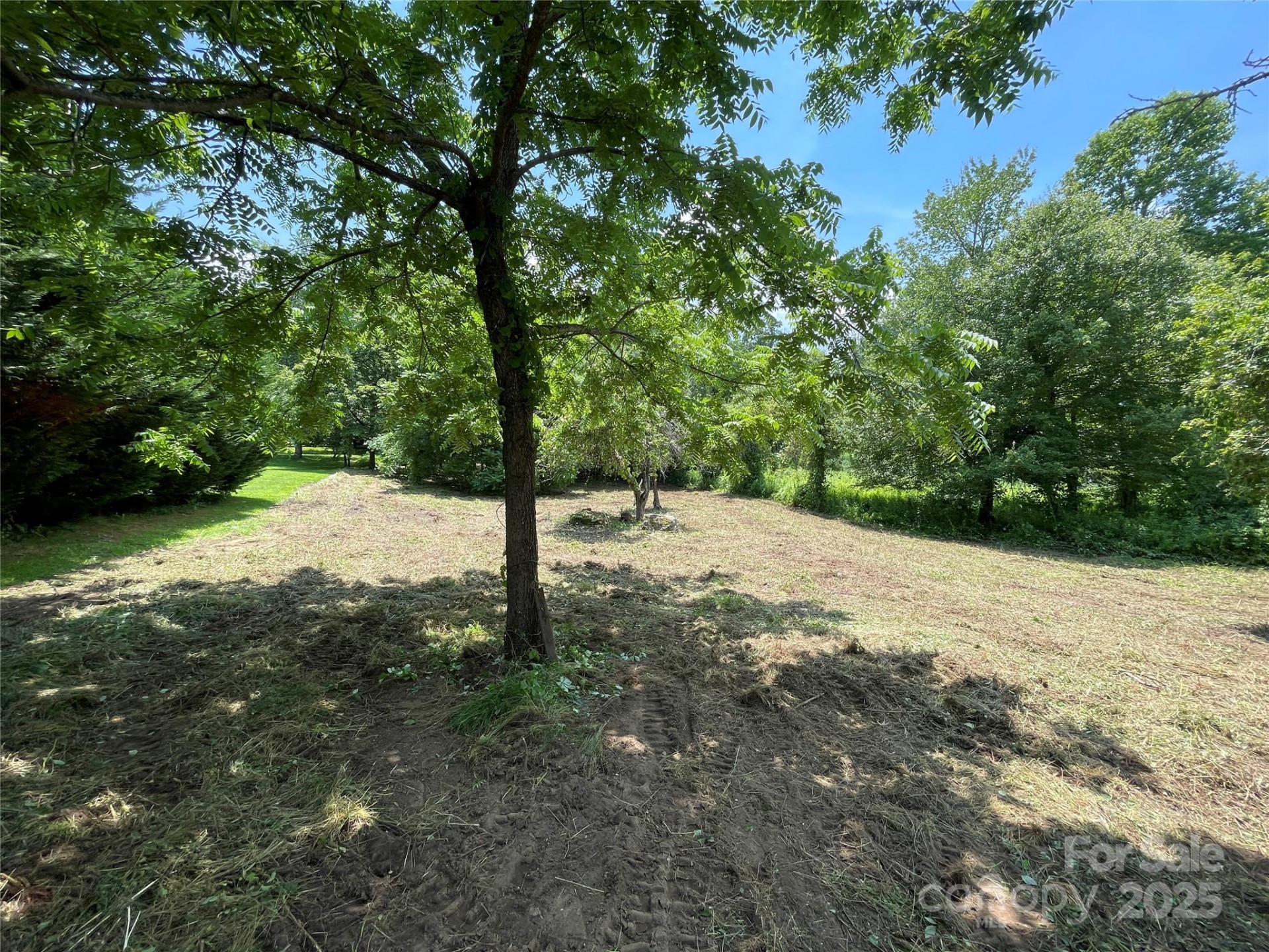 150 Founders Drive #159 - Photo 12