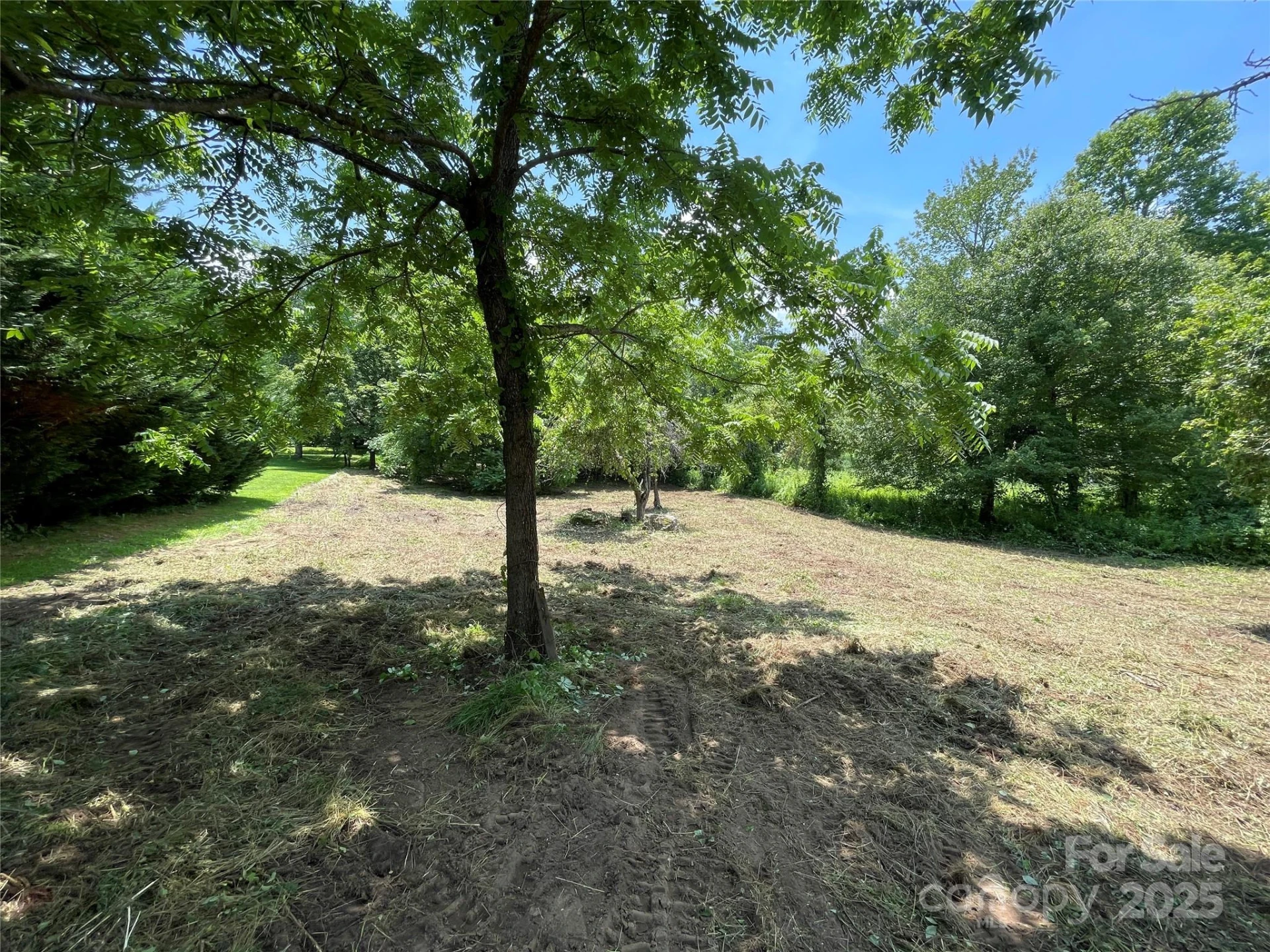 150 Founders Drive #159 - Photo 12