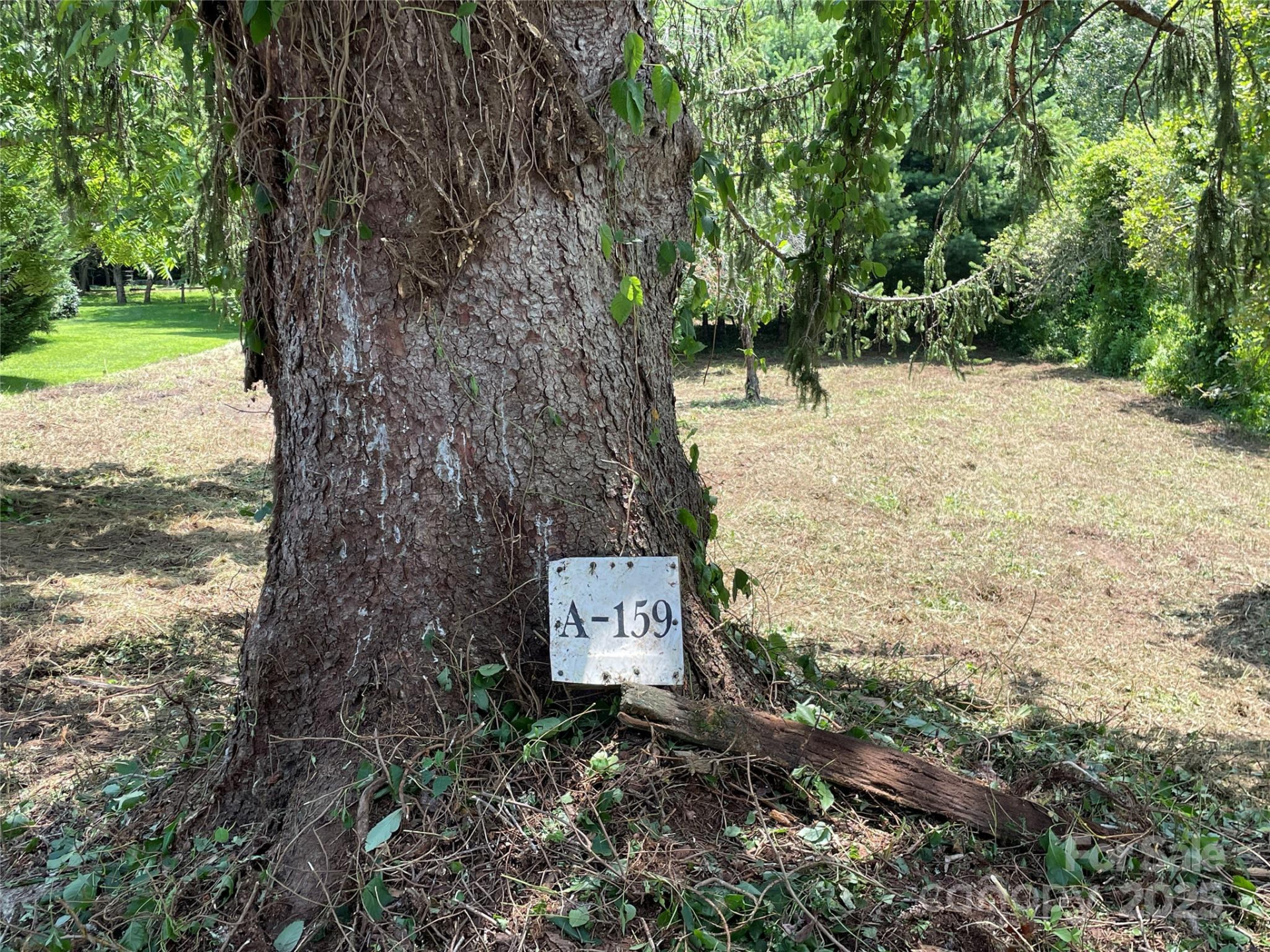 150 Founders Drive #159 - Photo 13