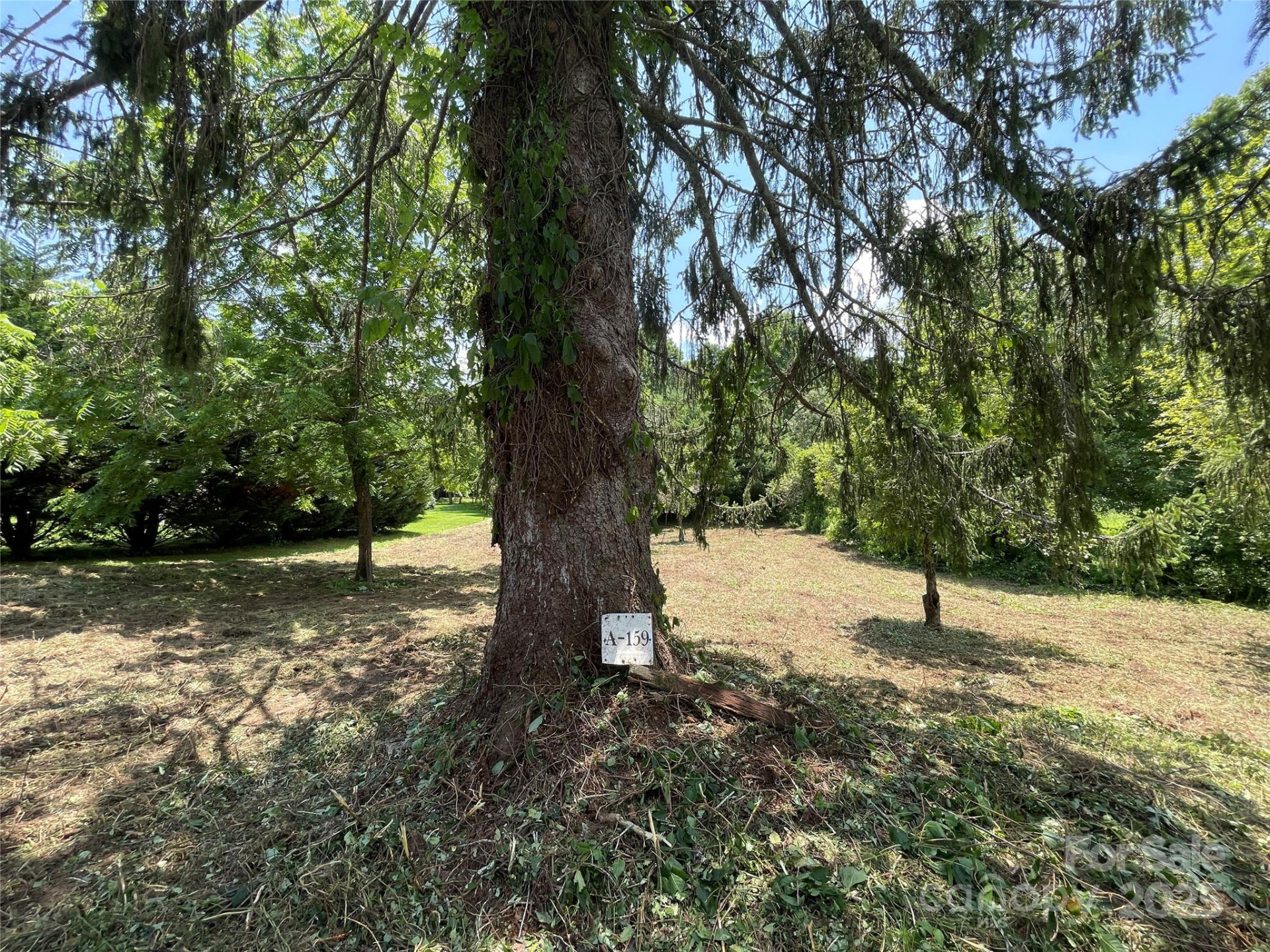 150 Founders Drive #159 - Photo 14