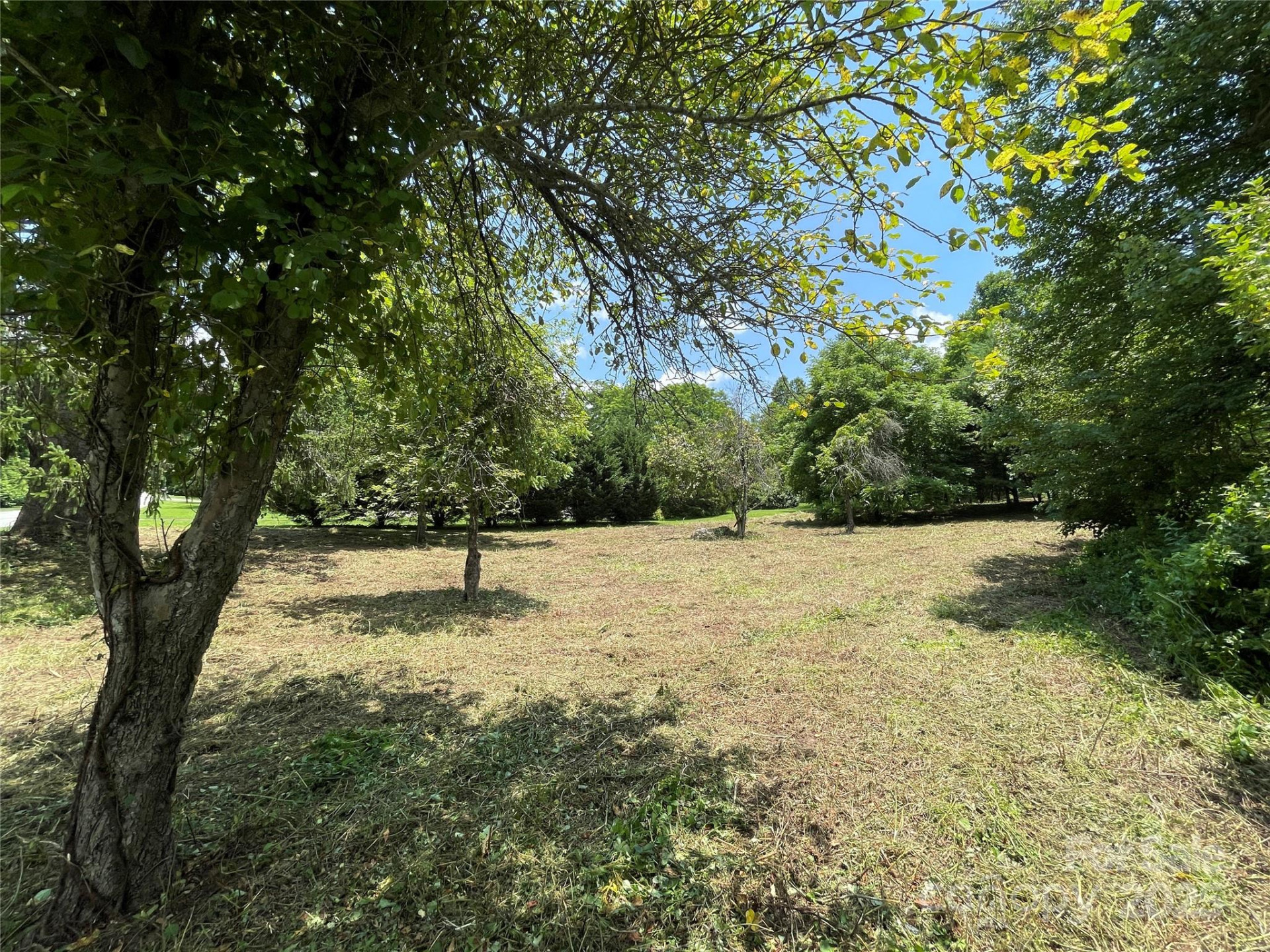 150 Founders Drive #159 - Photo 15