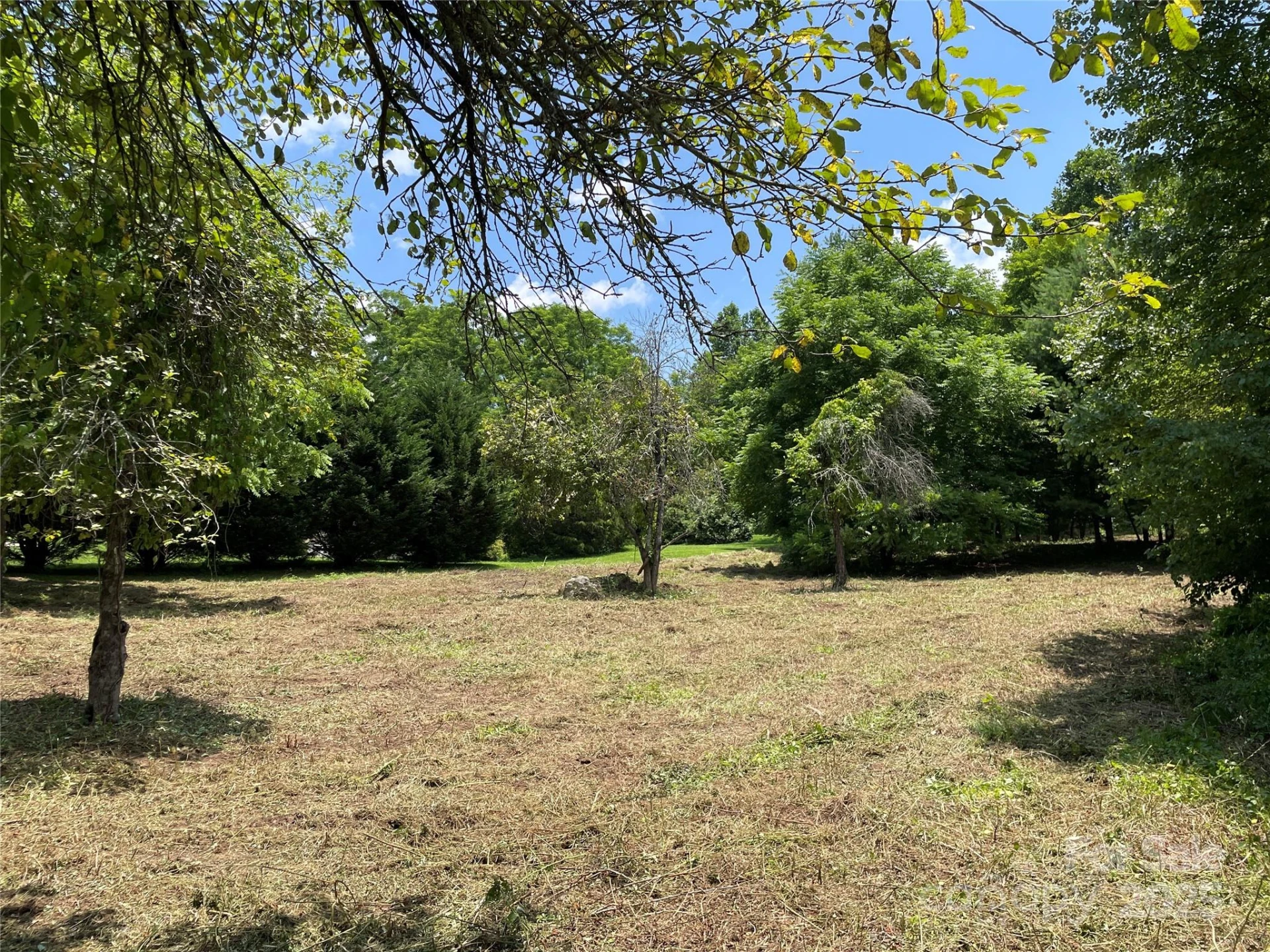 150 Founders Drive #159 - Photo 16