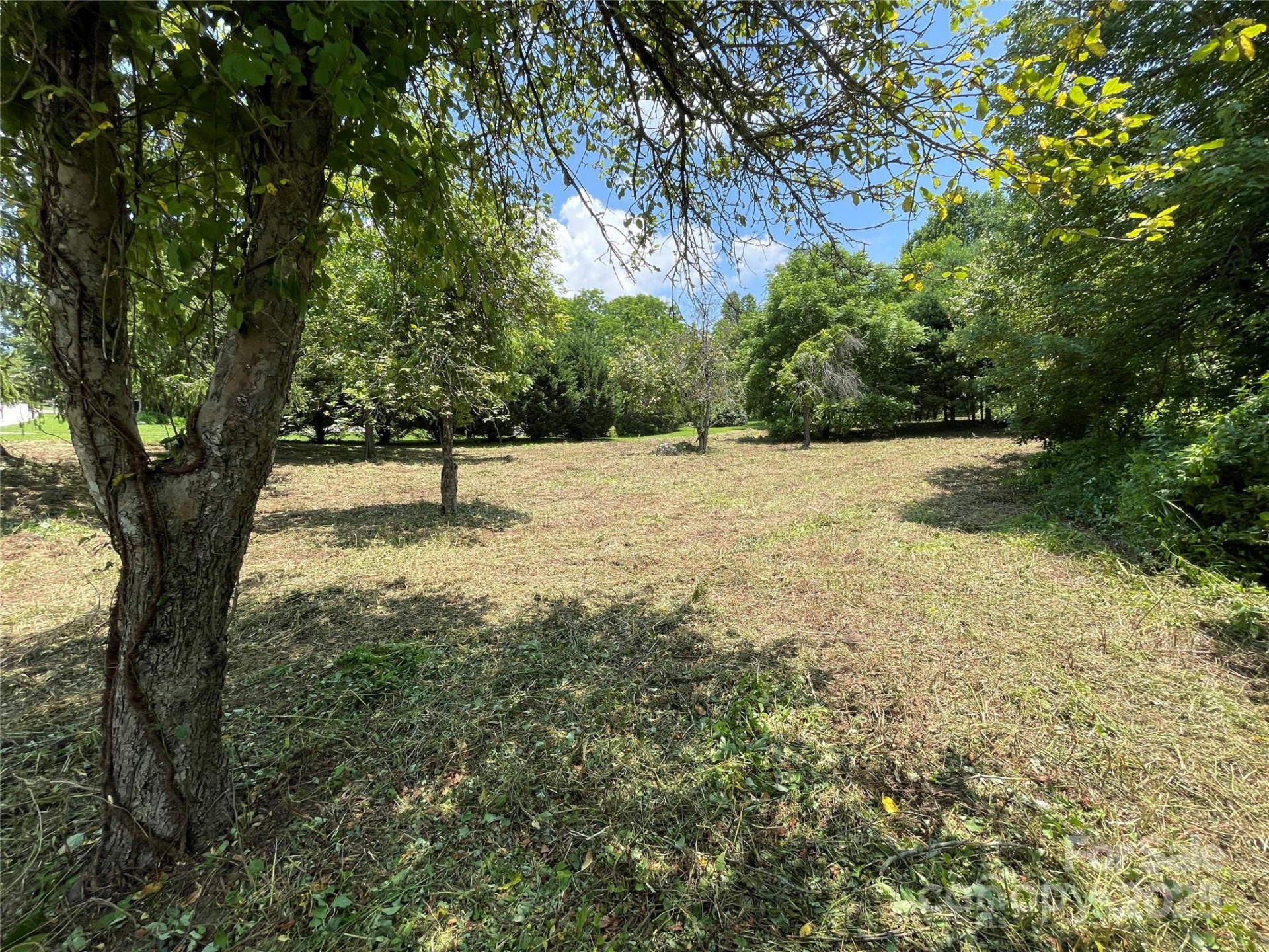 150 Founders Drive #159 - Photo 3