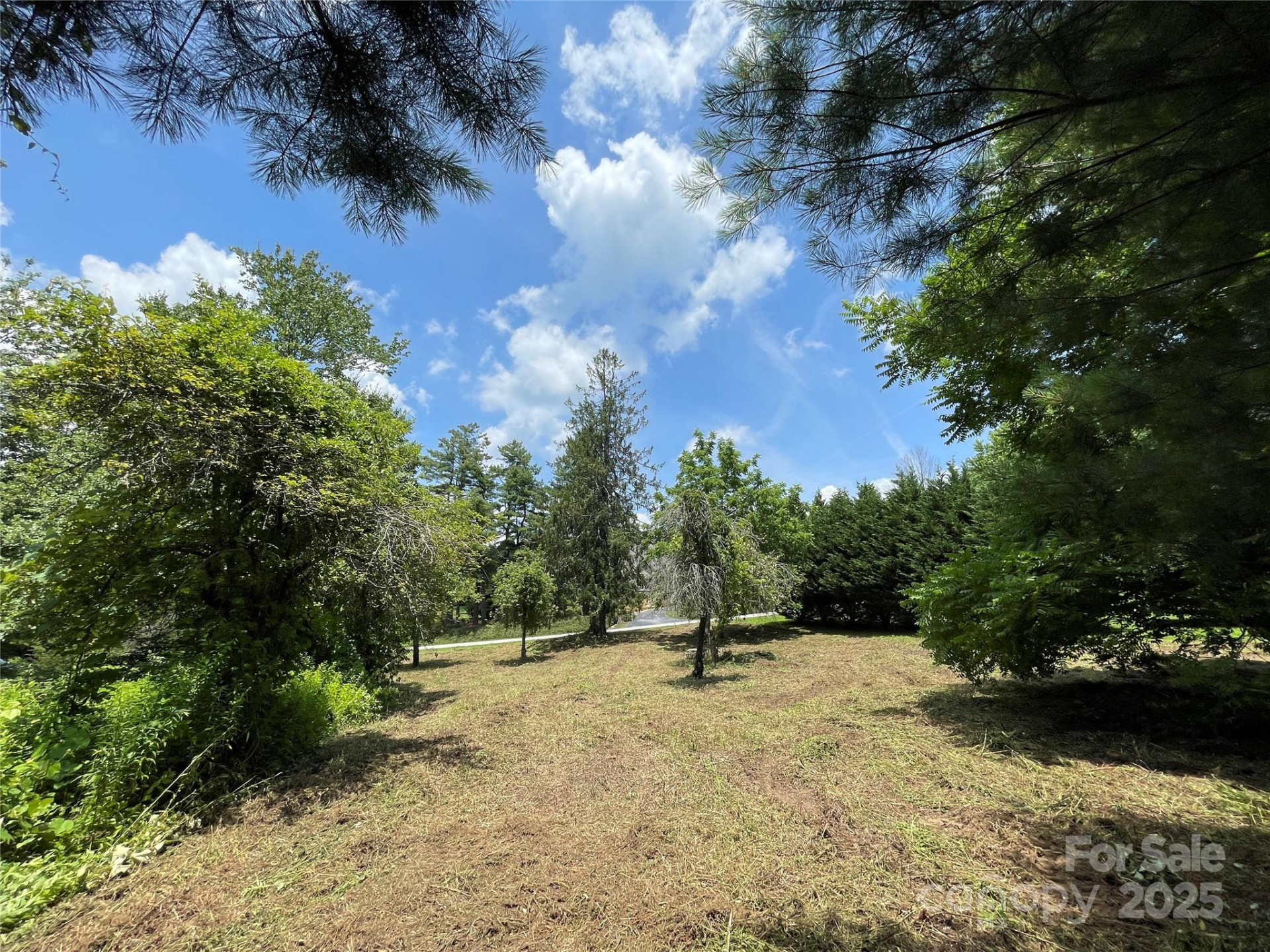 150 Founders Drive #159 - Photo 26