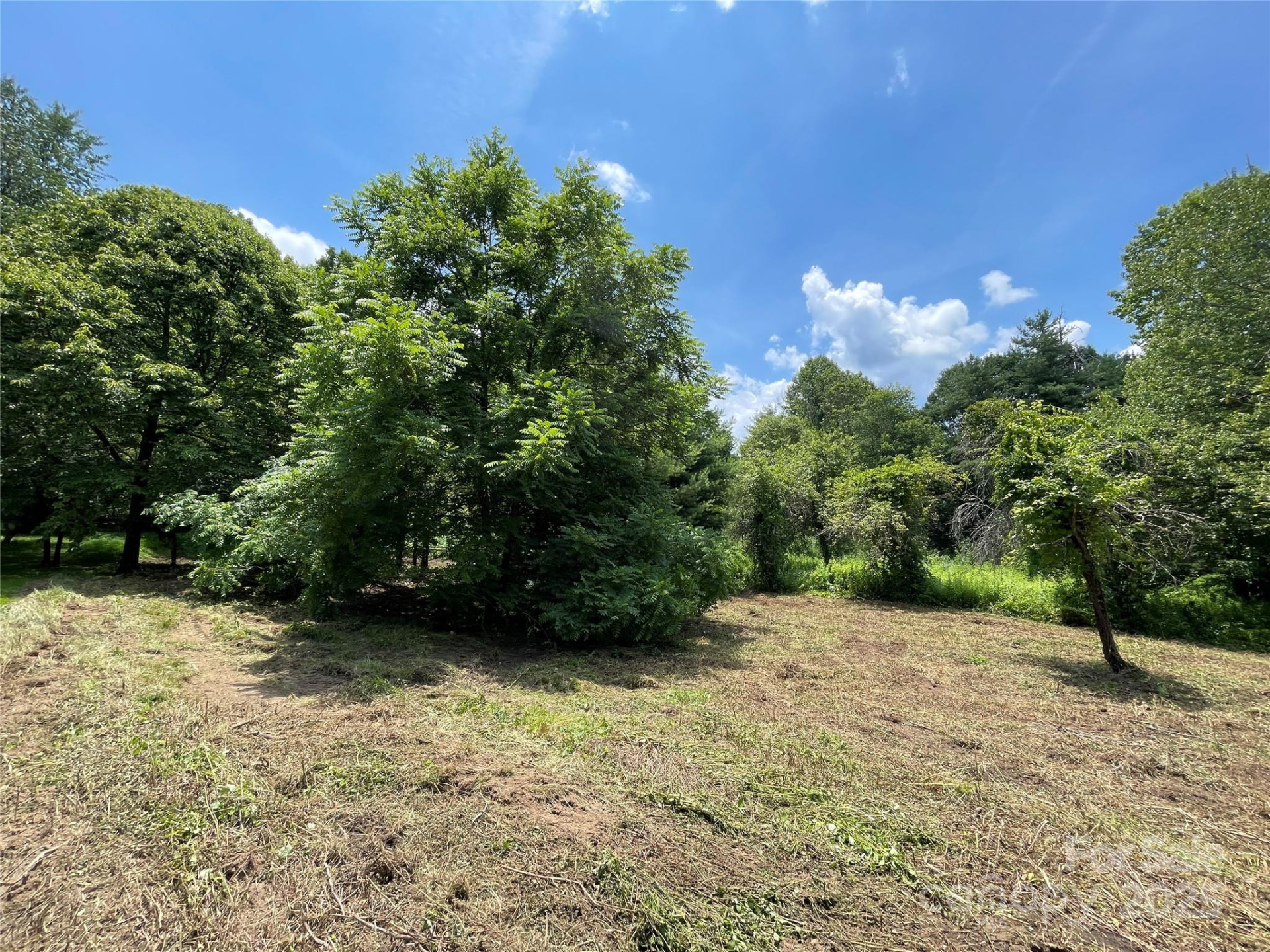 150 Founders Drive #159 - Photo 27