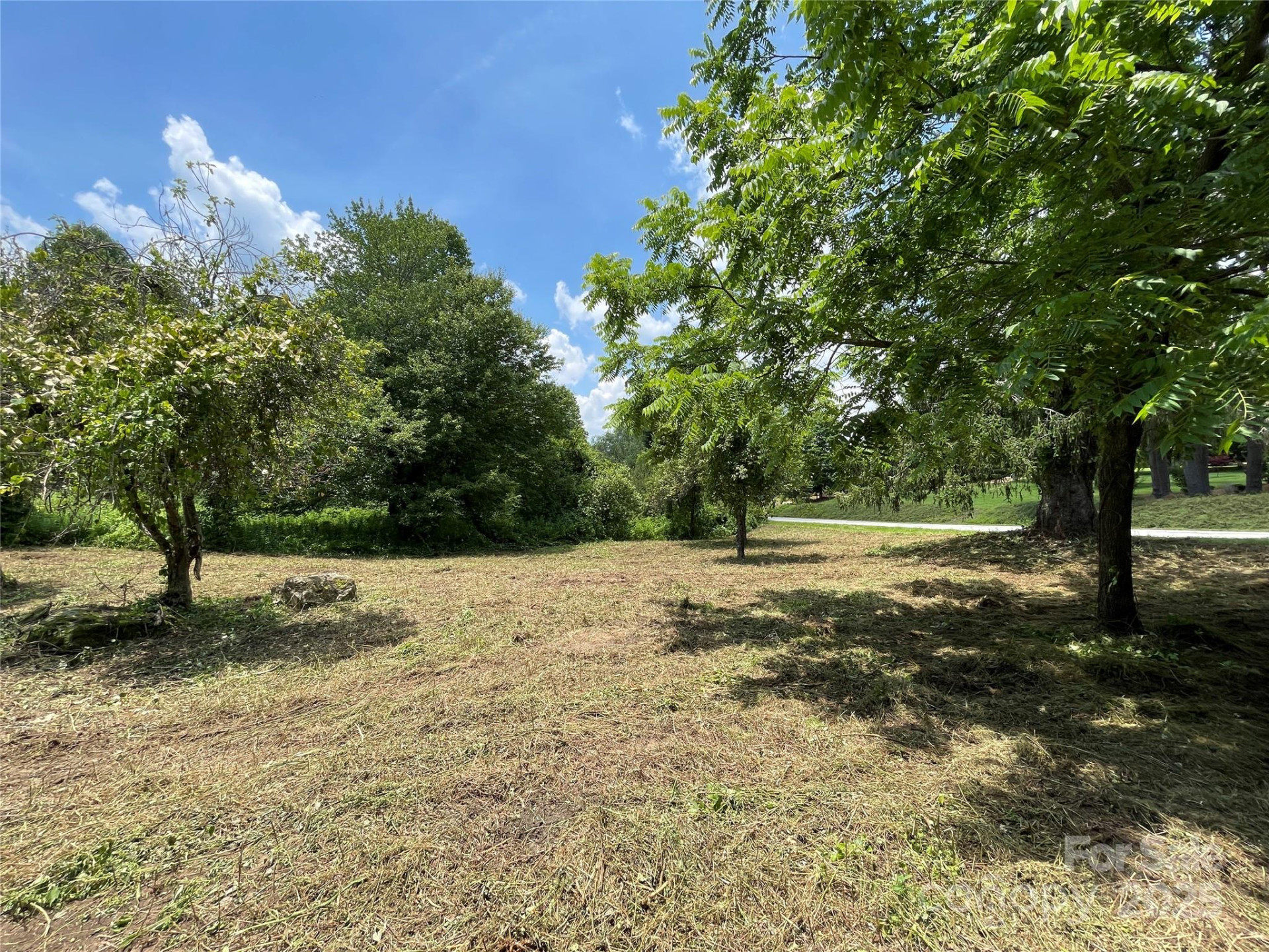 150 Founders Drive #159 - Photo 30