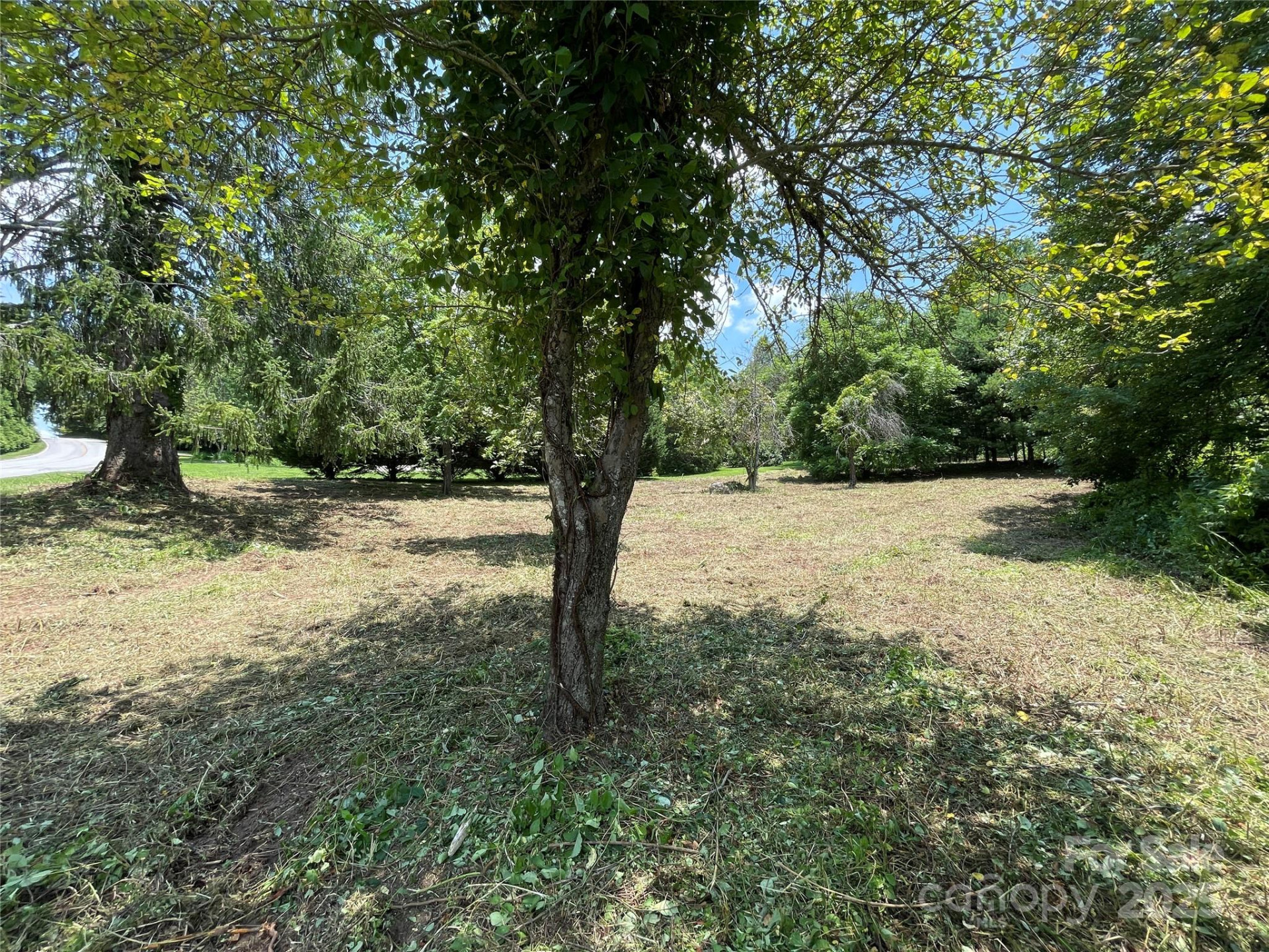 150 Founders Drive #159 - Photo 4