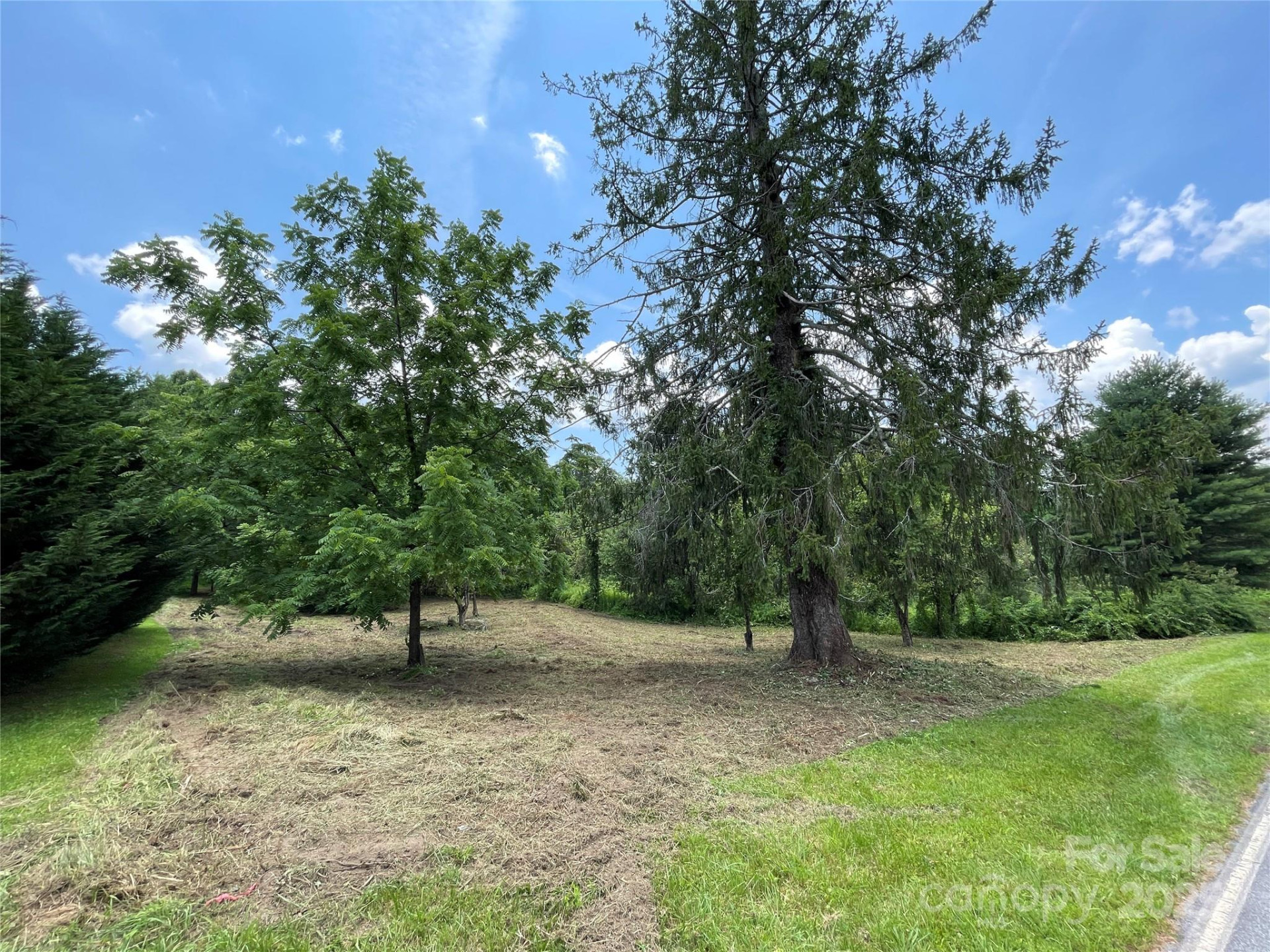 150 Founders Drive #159 - Photo 36